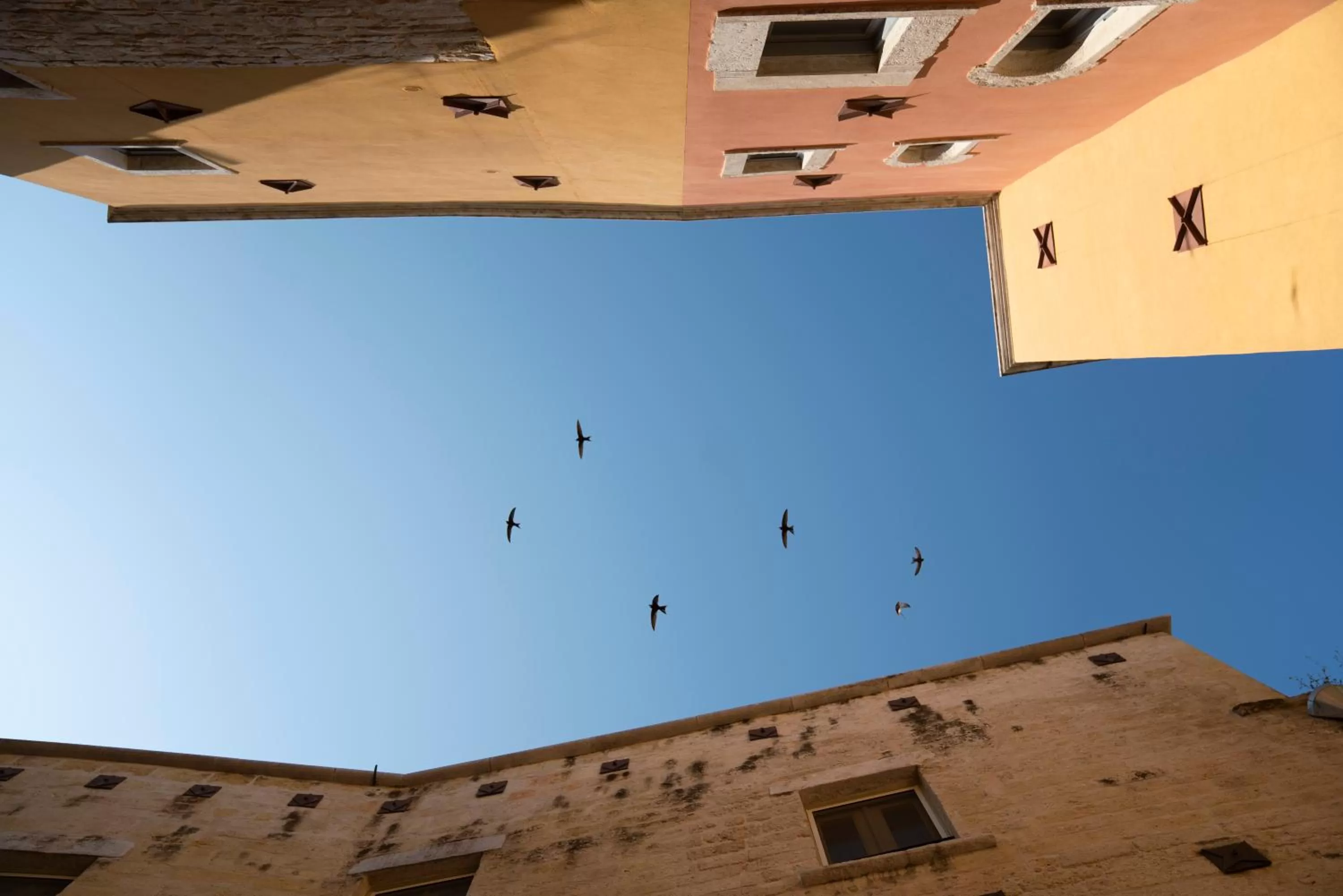 Day in B&B Palazzo Vittoria