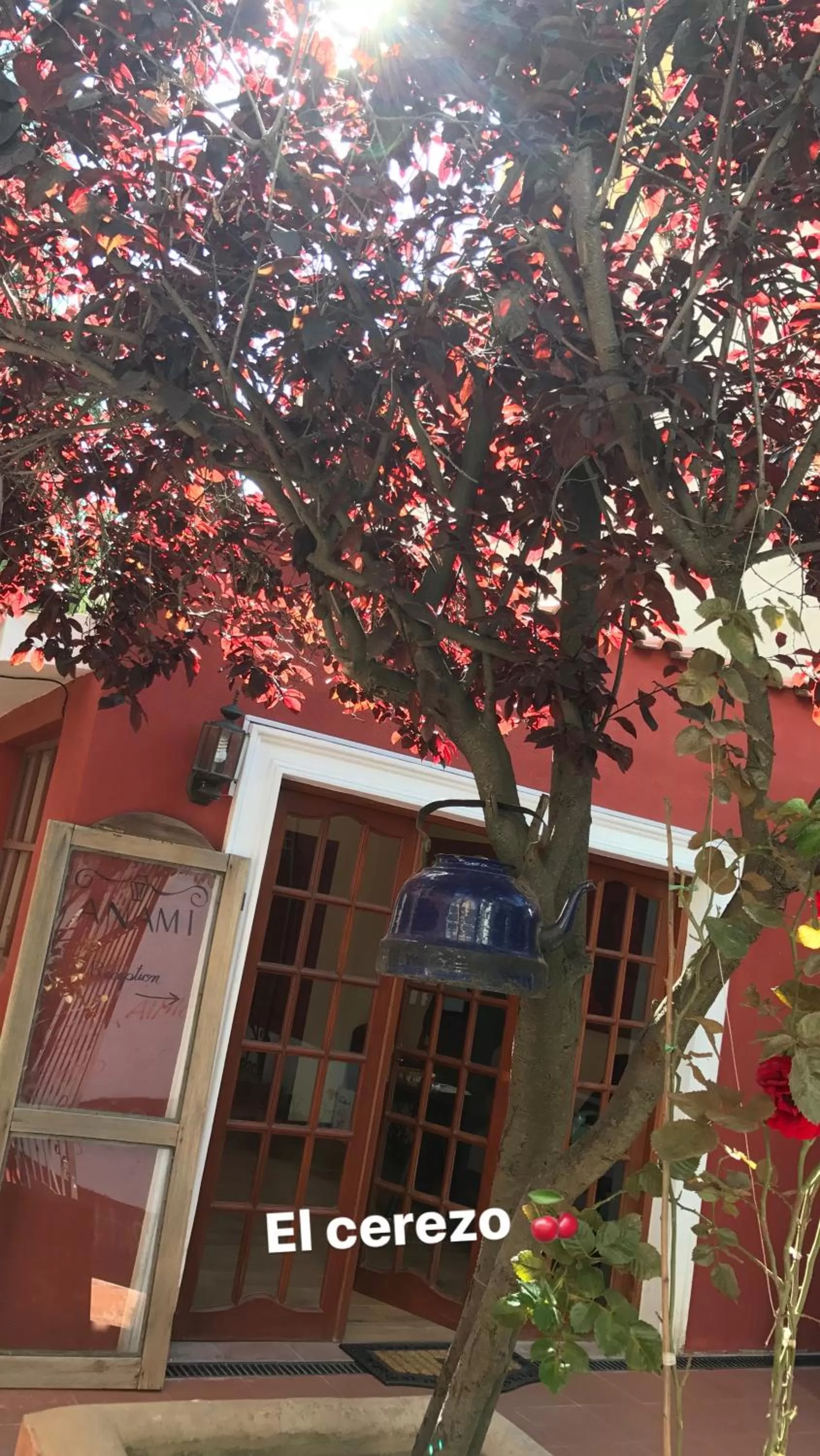 Anami Hotel Boutique