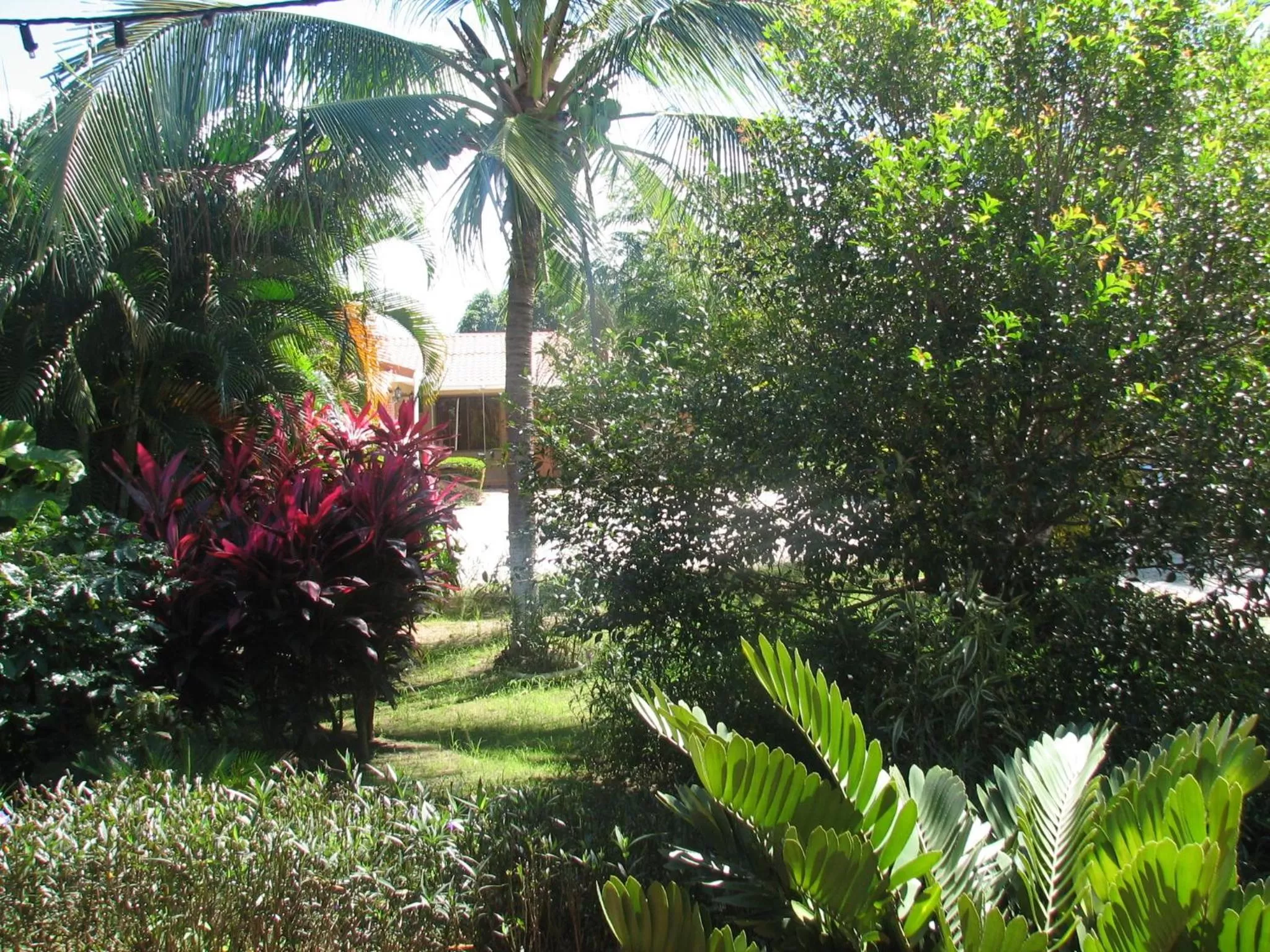 Facade/entrance in Hotel La Arena