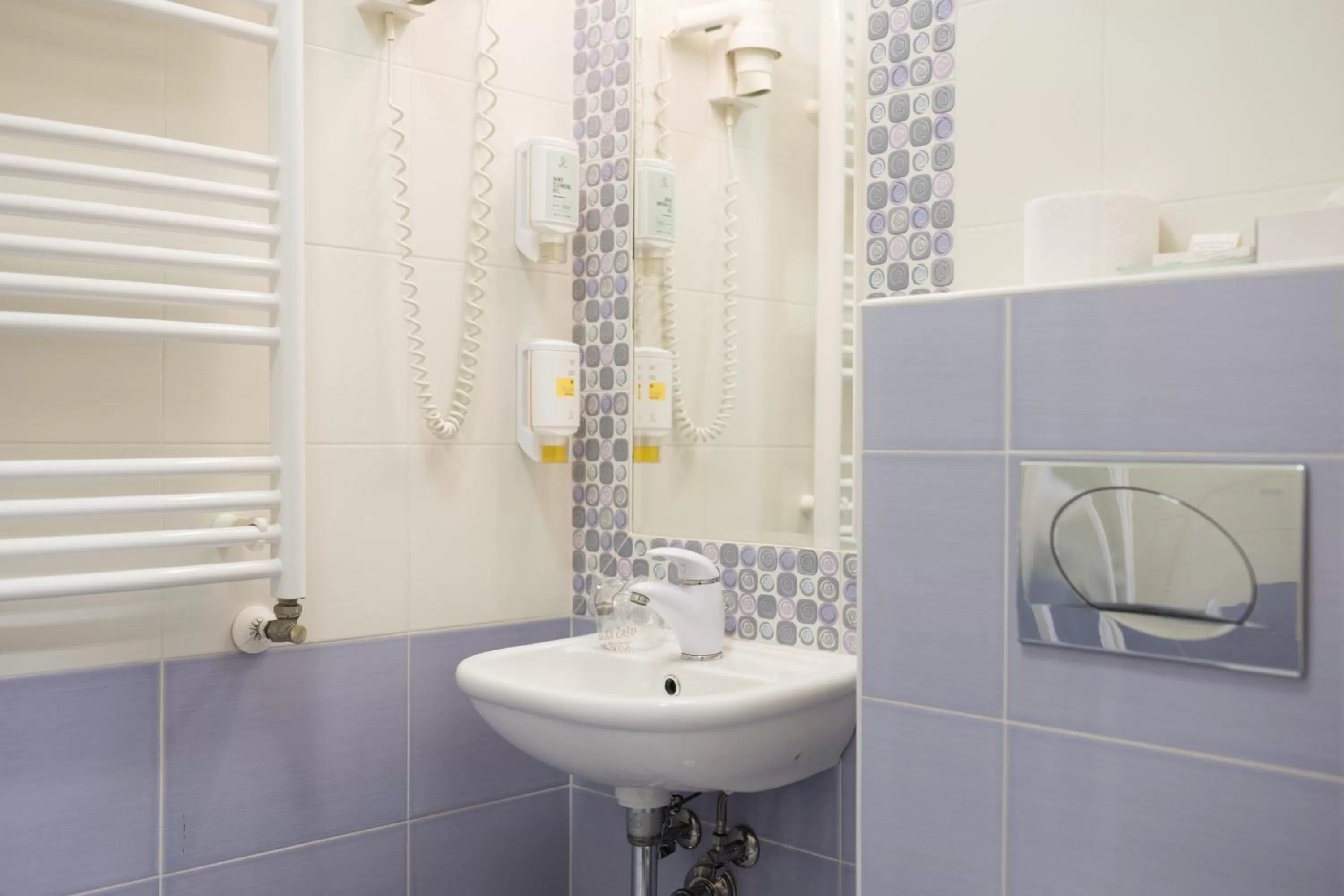 Shower in Hotel Zlatna Vala