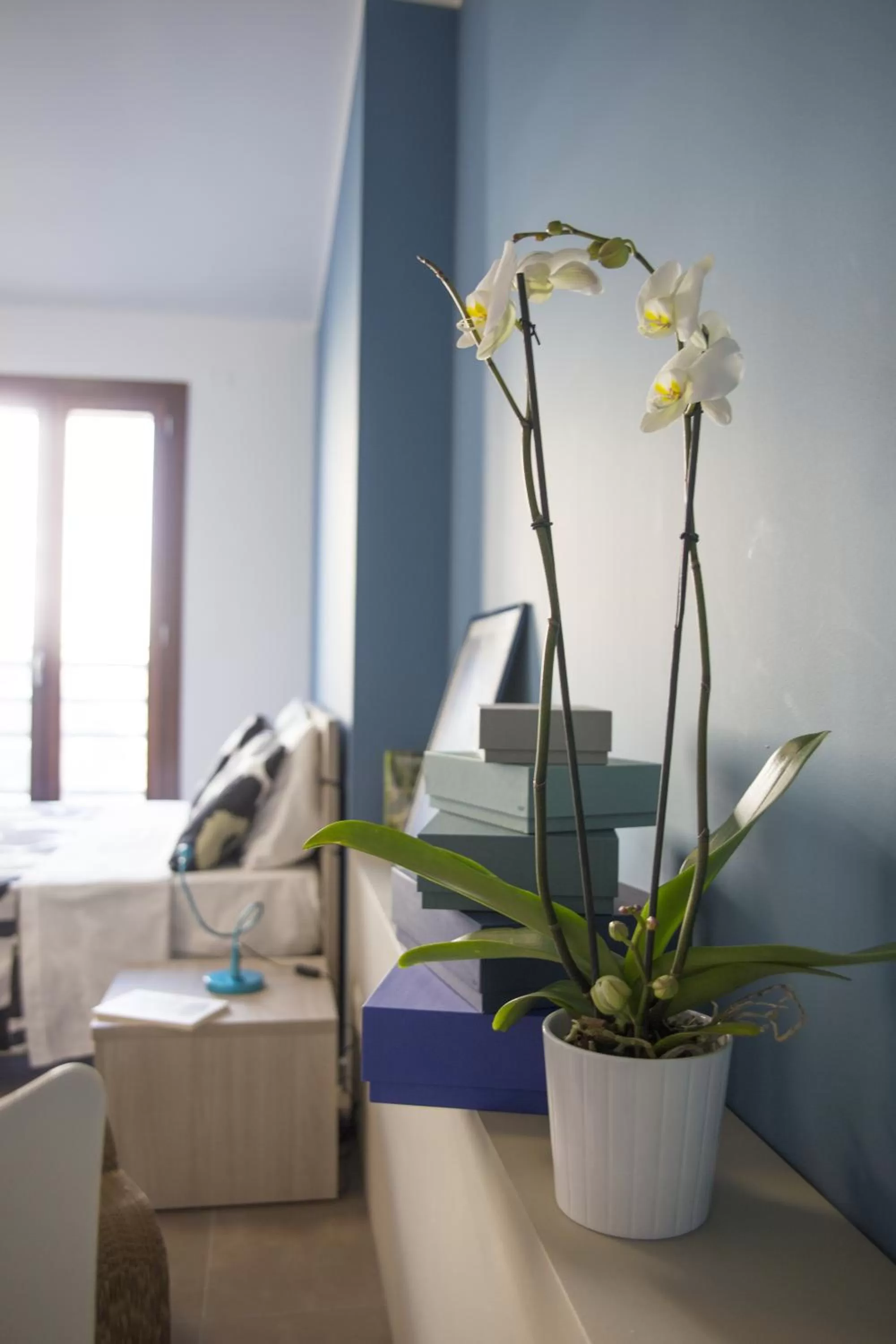 Decorative detail, Bed in Residence Milano Bicocca