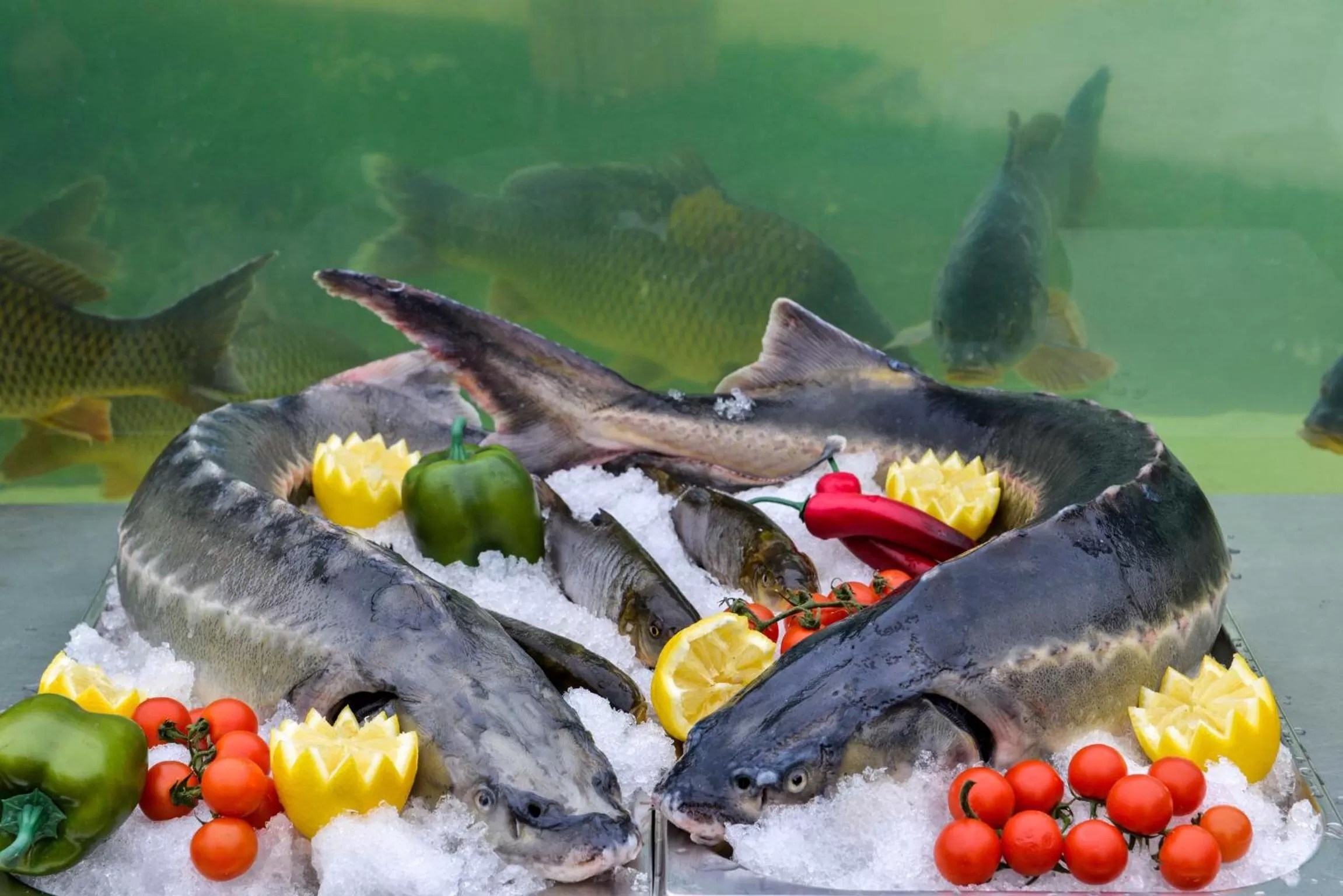 Food in RAYA Garden - Park Hotel & Winery