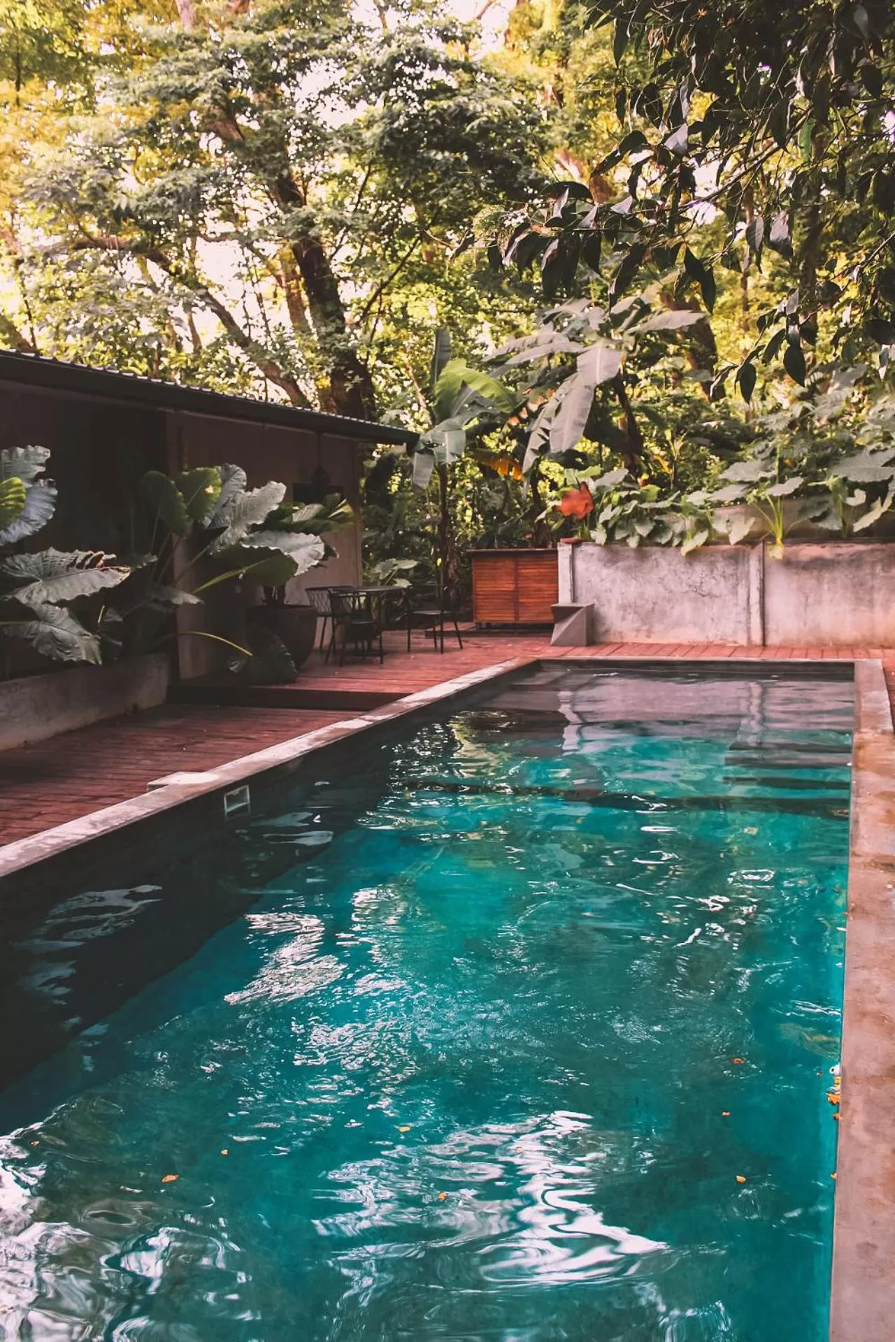 Swimming pool in Saboga Lodge