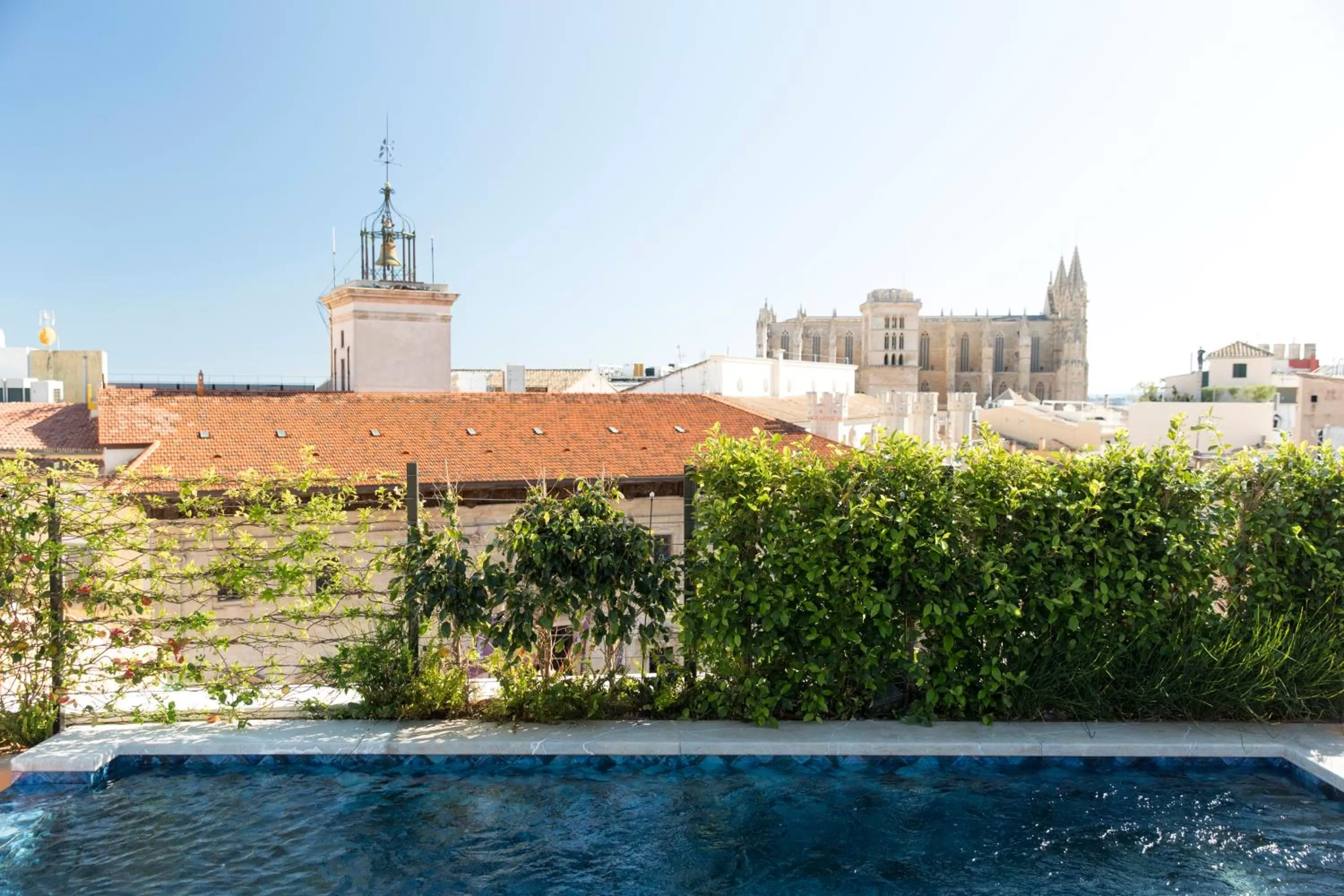 Swimming pool in Hotel Cappuccino - Palma
