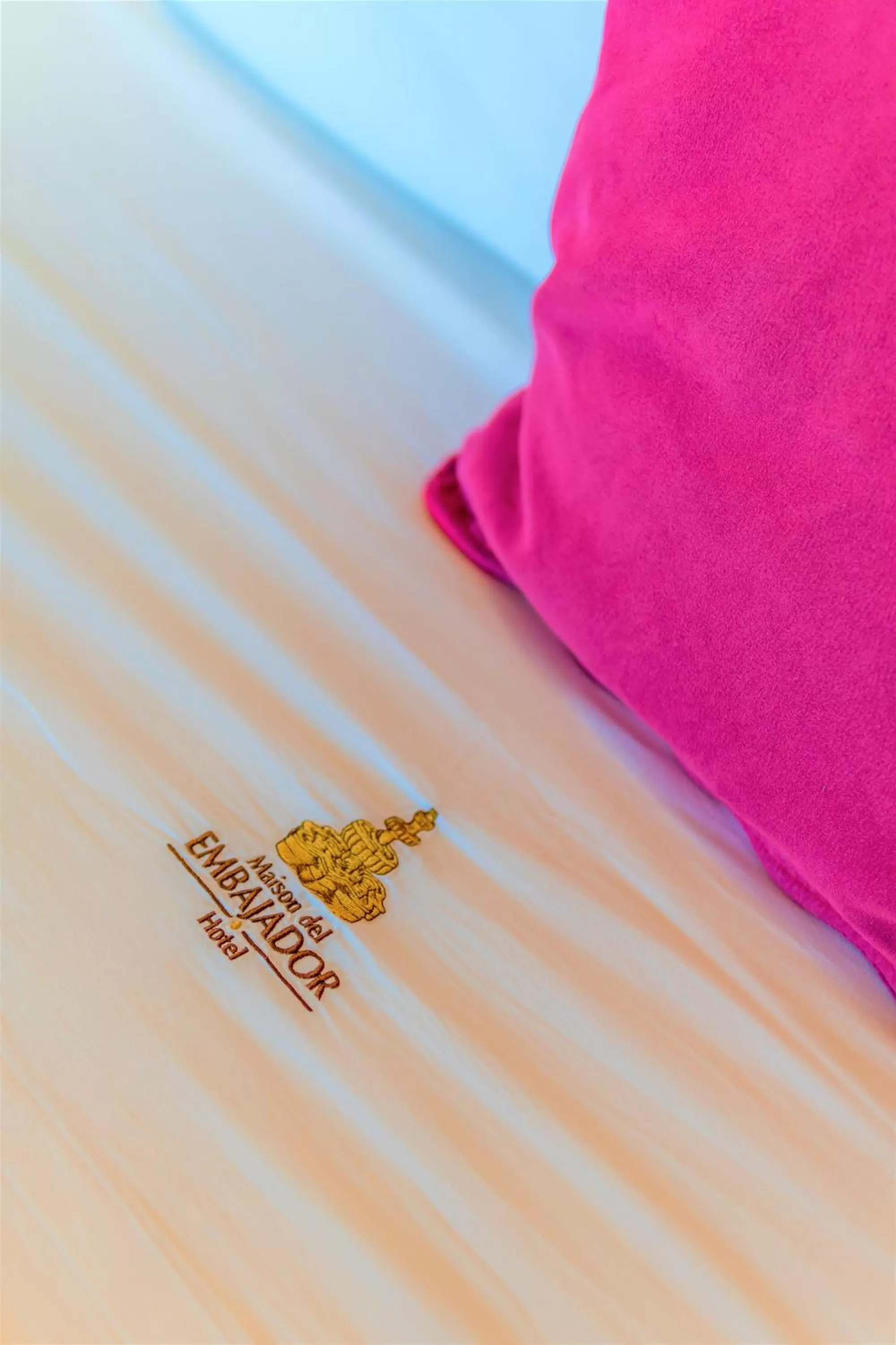 Decorative detail, Bed in Maison del Embajador