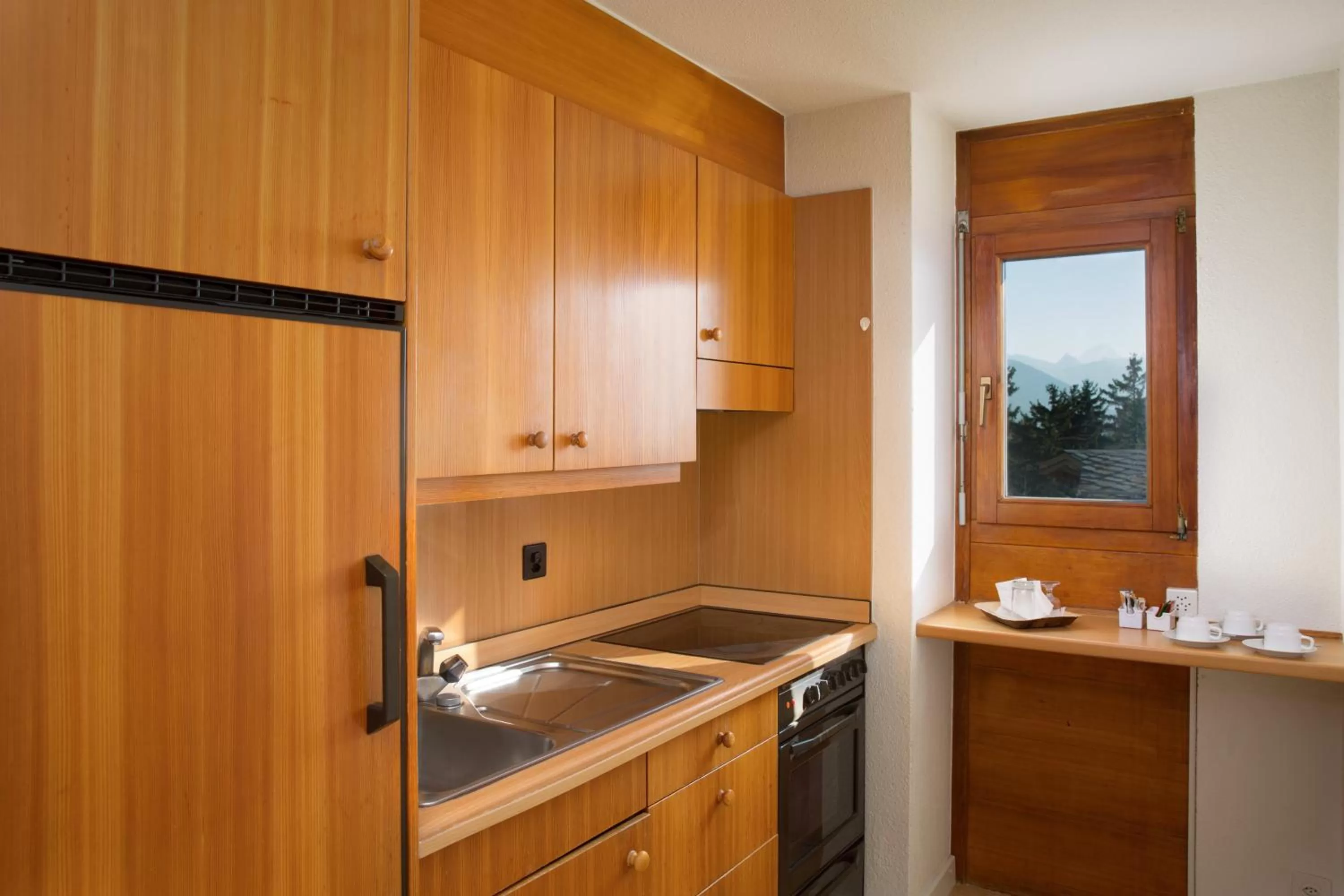 Kitchen or kitchenette in Aparthotel Helvetia