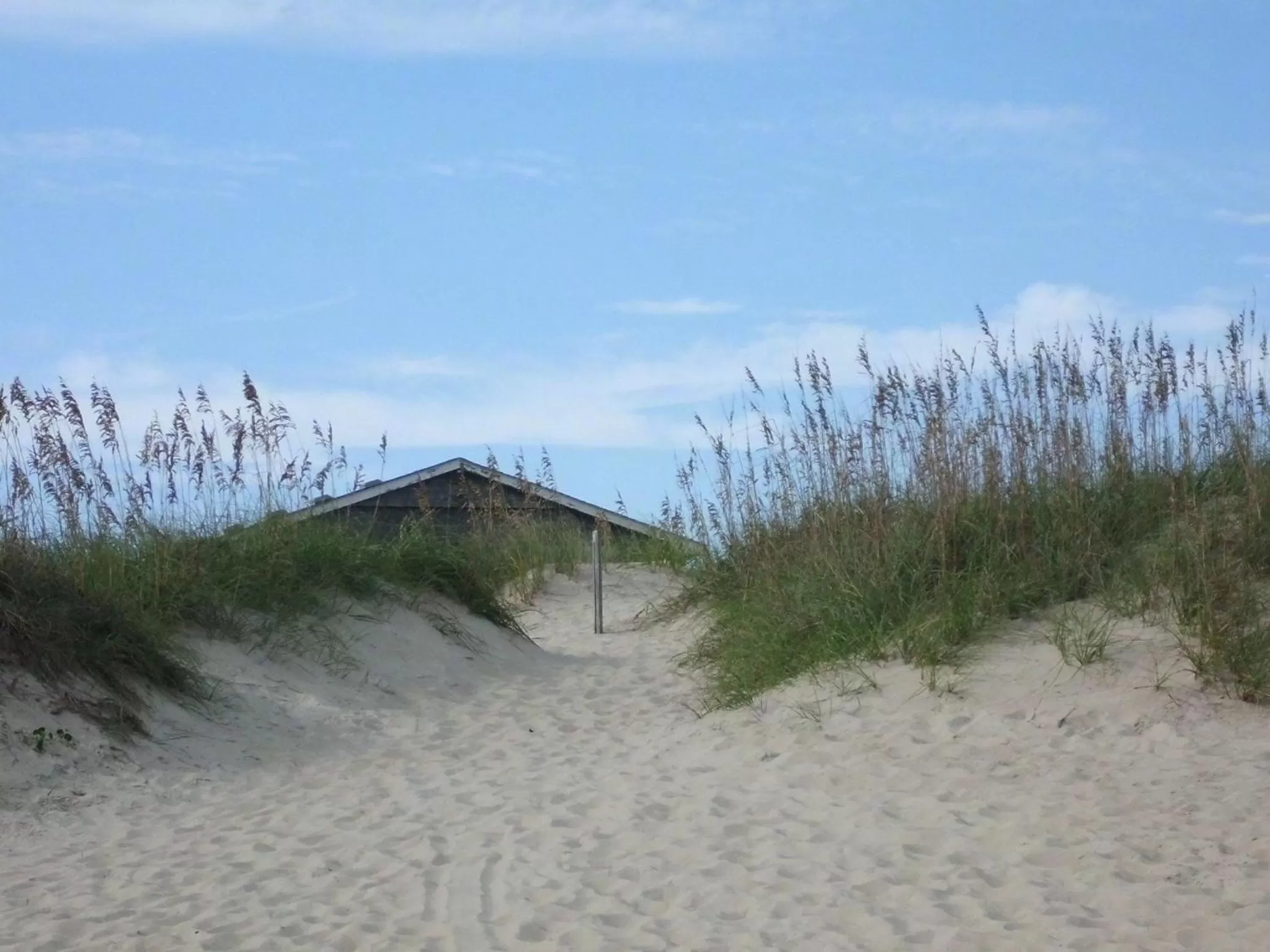 Beach in Swell Motel