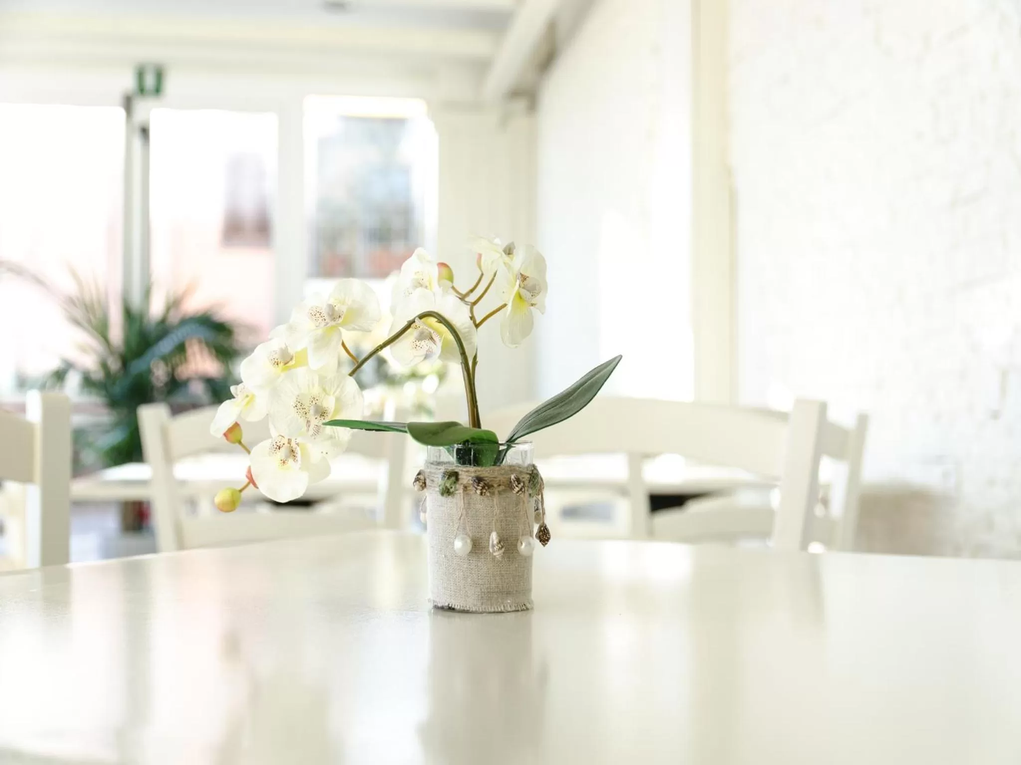 Lounge or bar in Hotel Butterfly