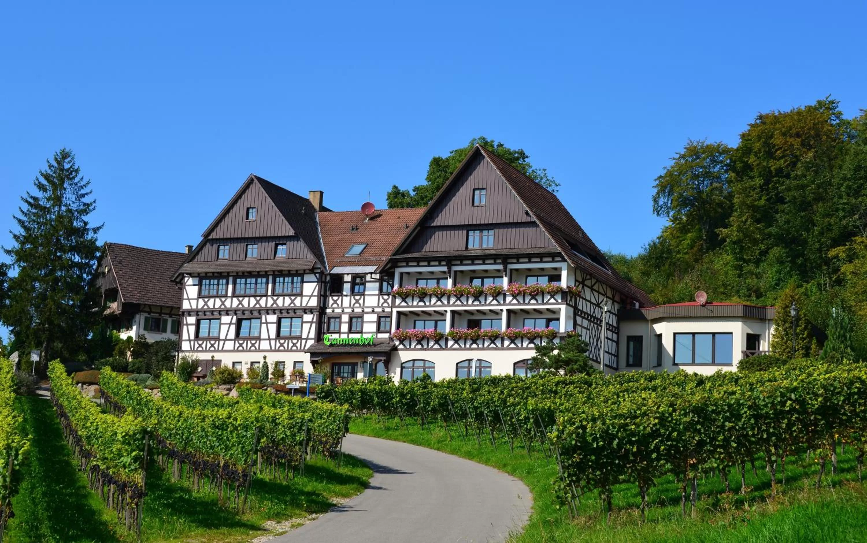 Property building in RelaxHotel Tannenhof