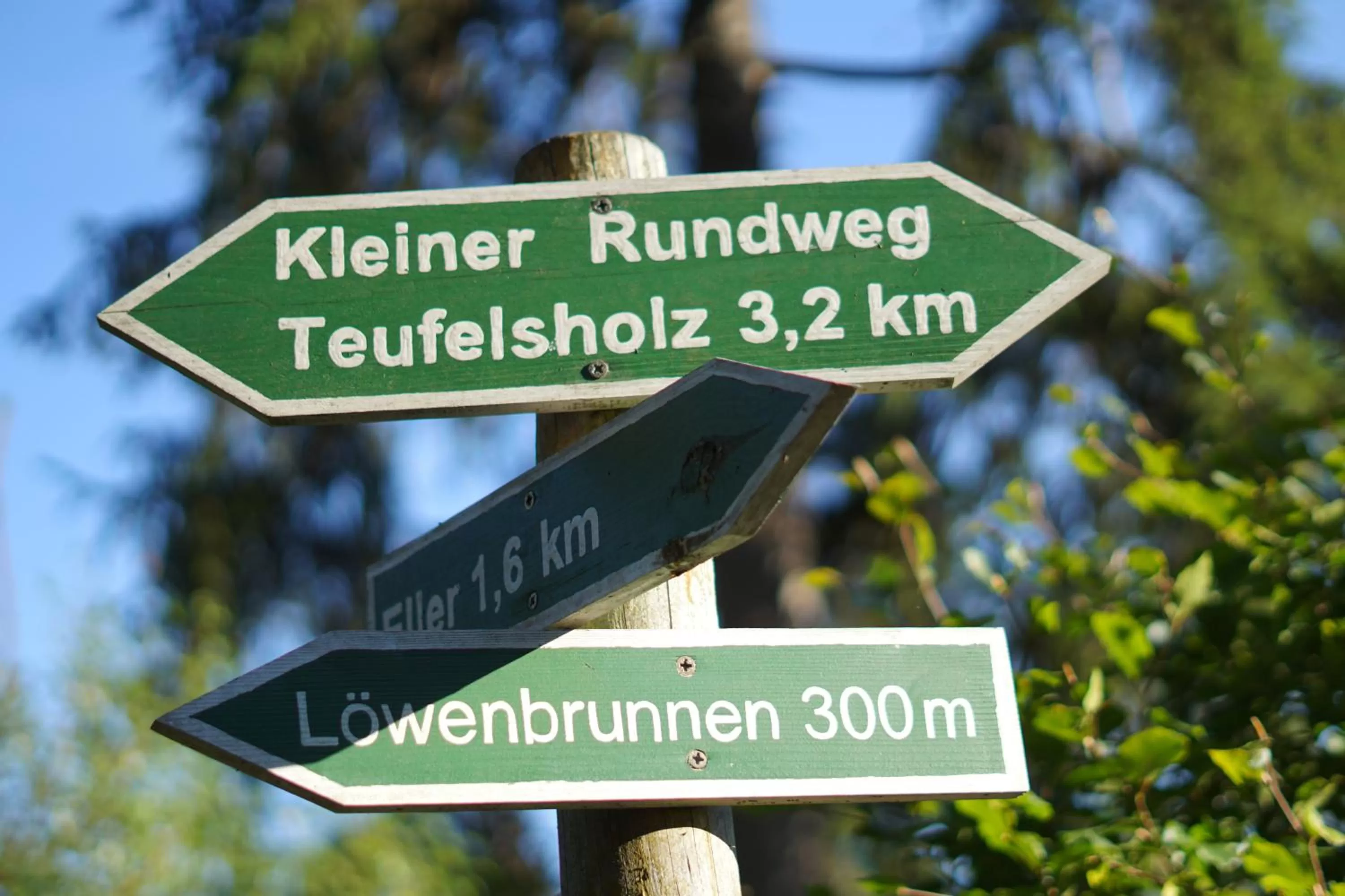 Hiking in Hotel Beck