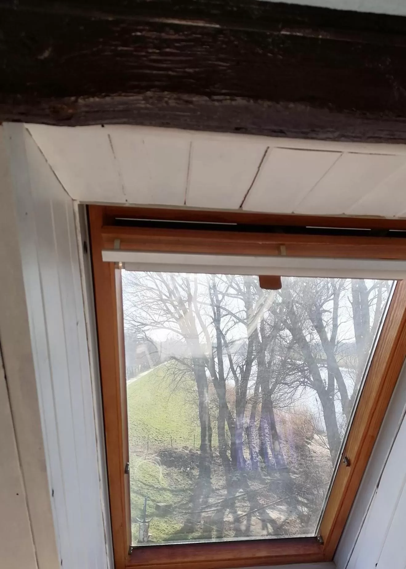 View (from property/room) in Seefahrer Musik- & Kreativhotel