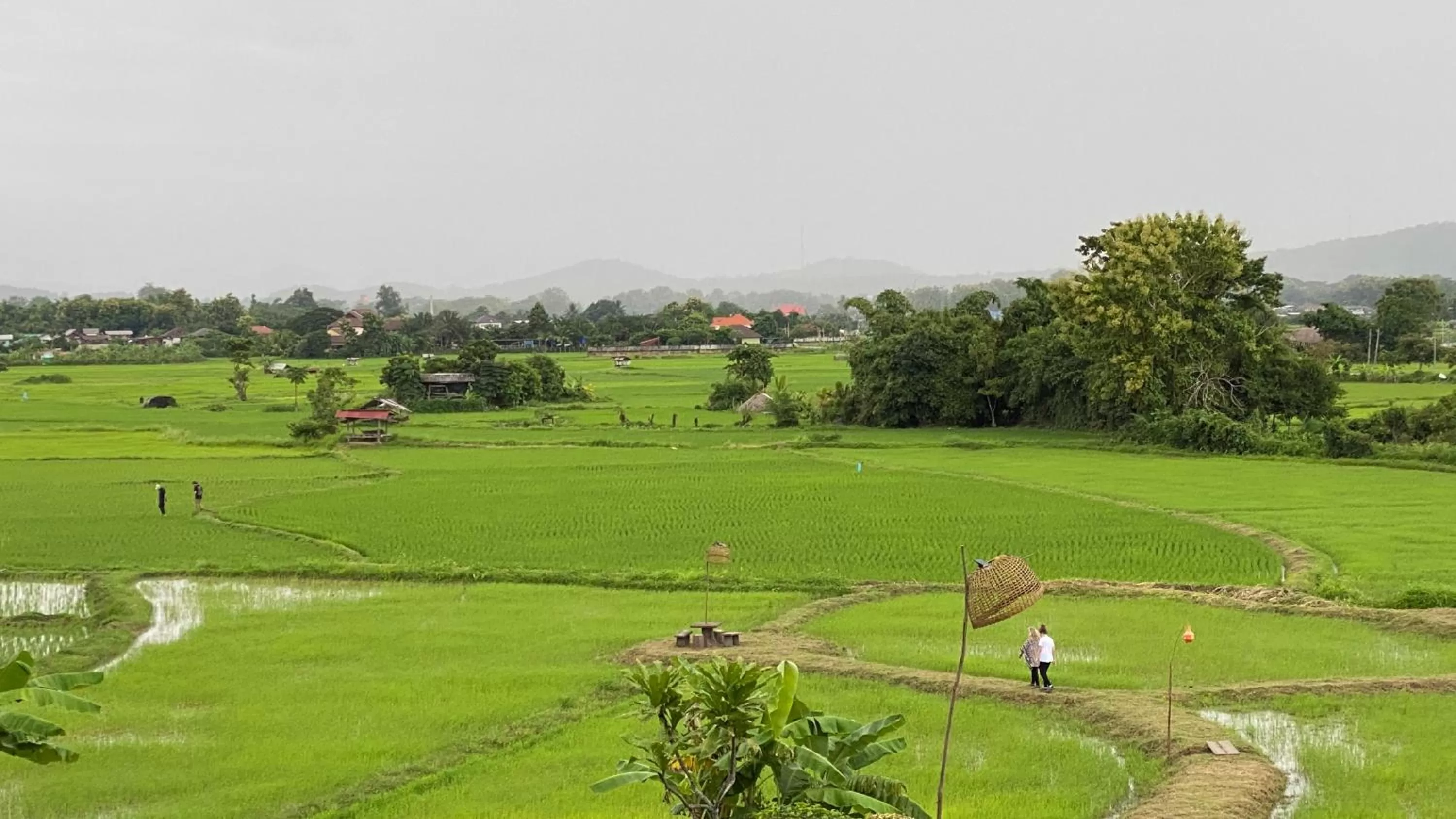 View (from property/room) in Nan Seasons Boutique Resort