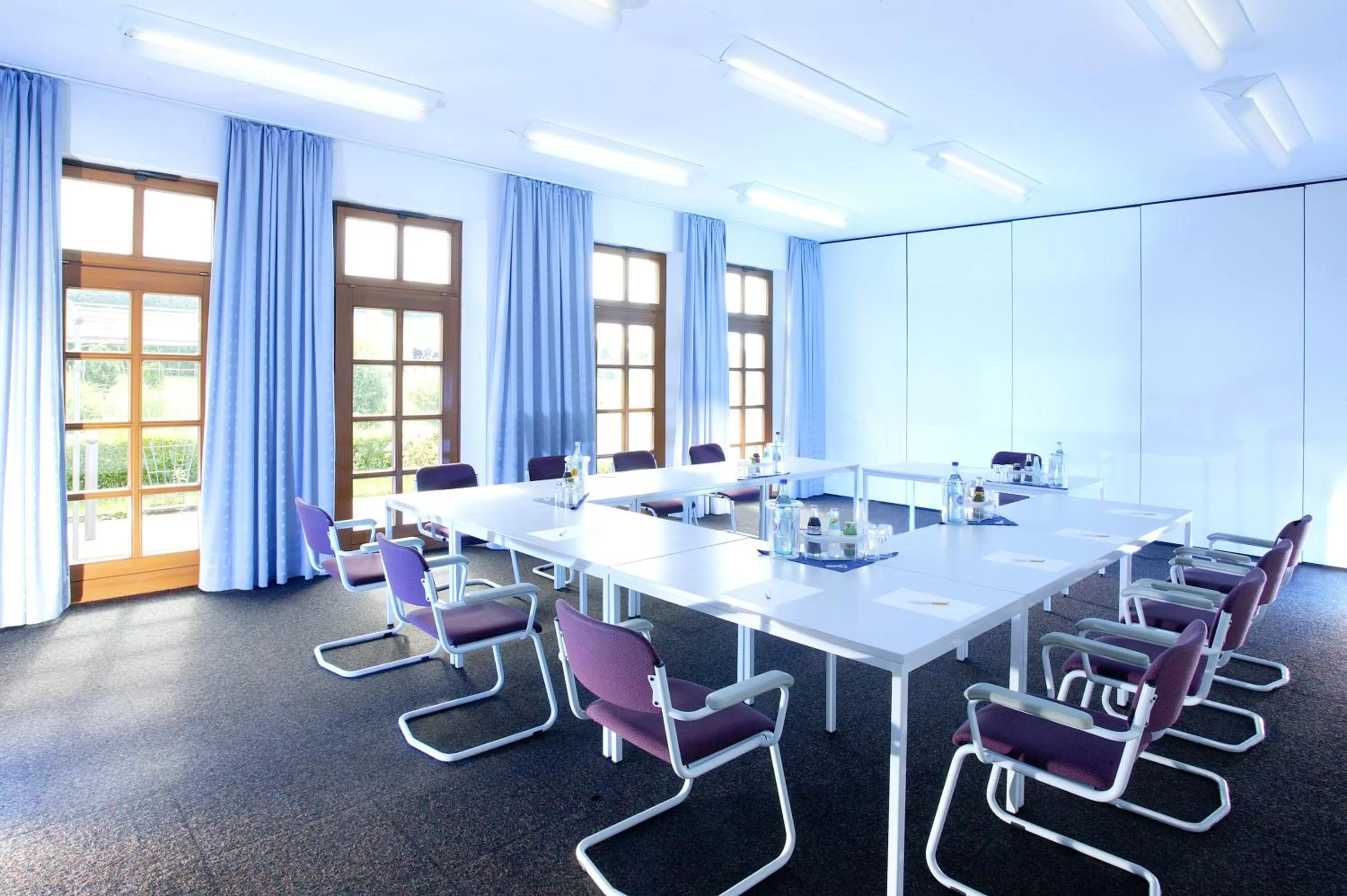 Business facilities in Landhotel Geiselwind