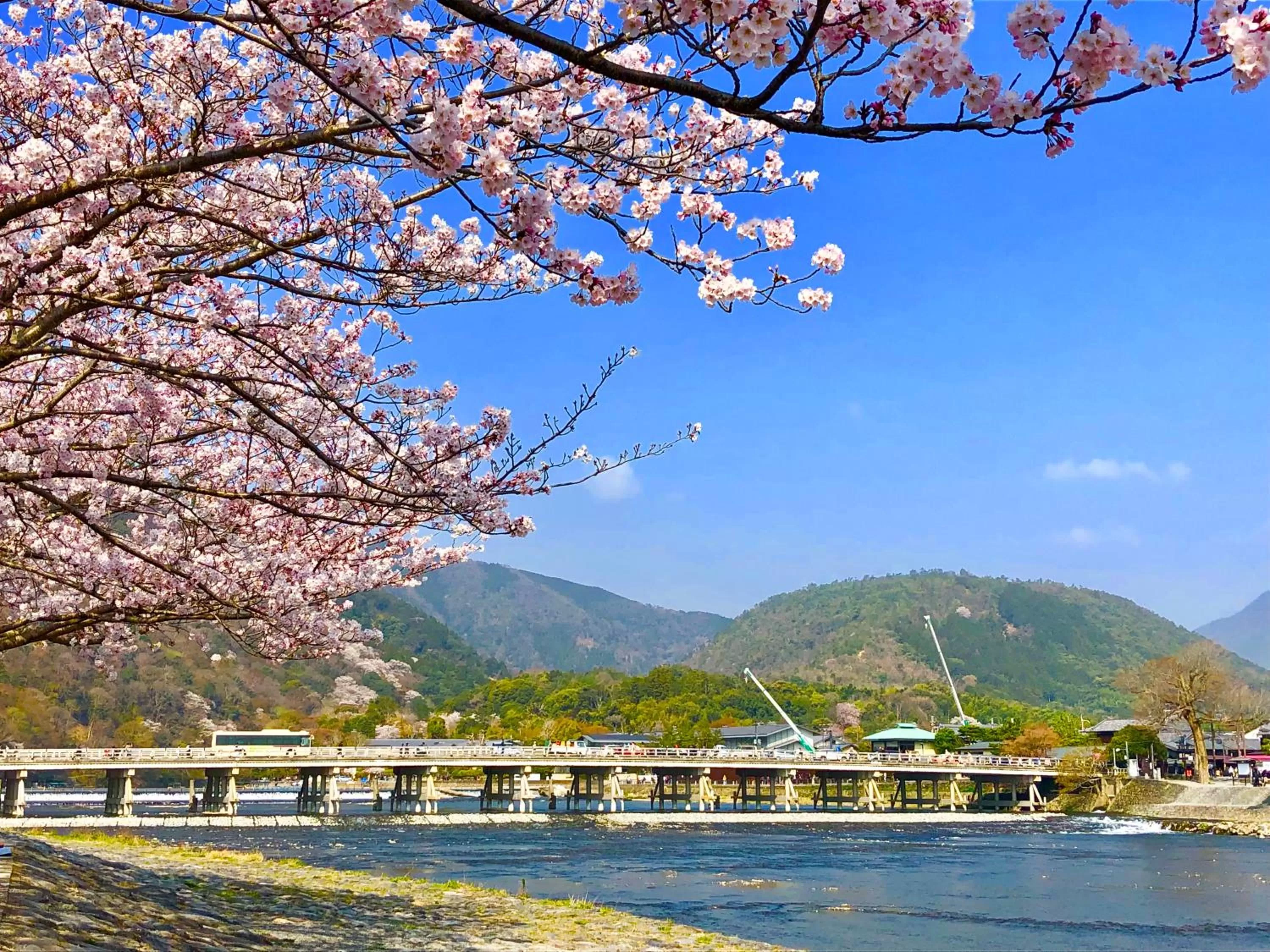 Nearby landmark in Kadensho, Arashiyama Onsen, Kyoto - Kyoritsu Resort