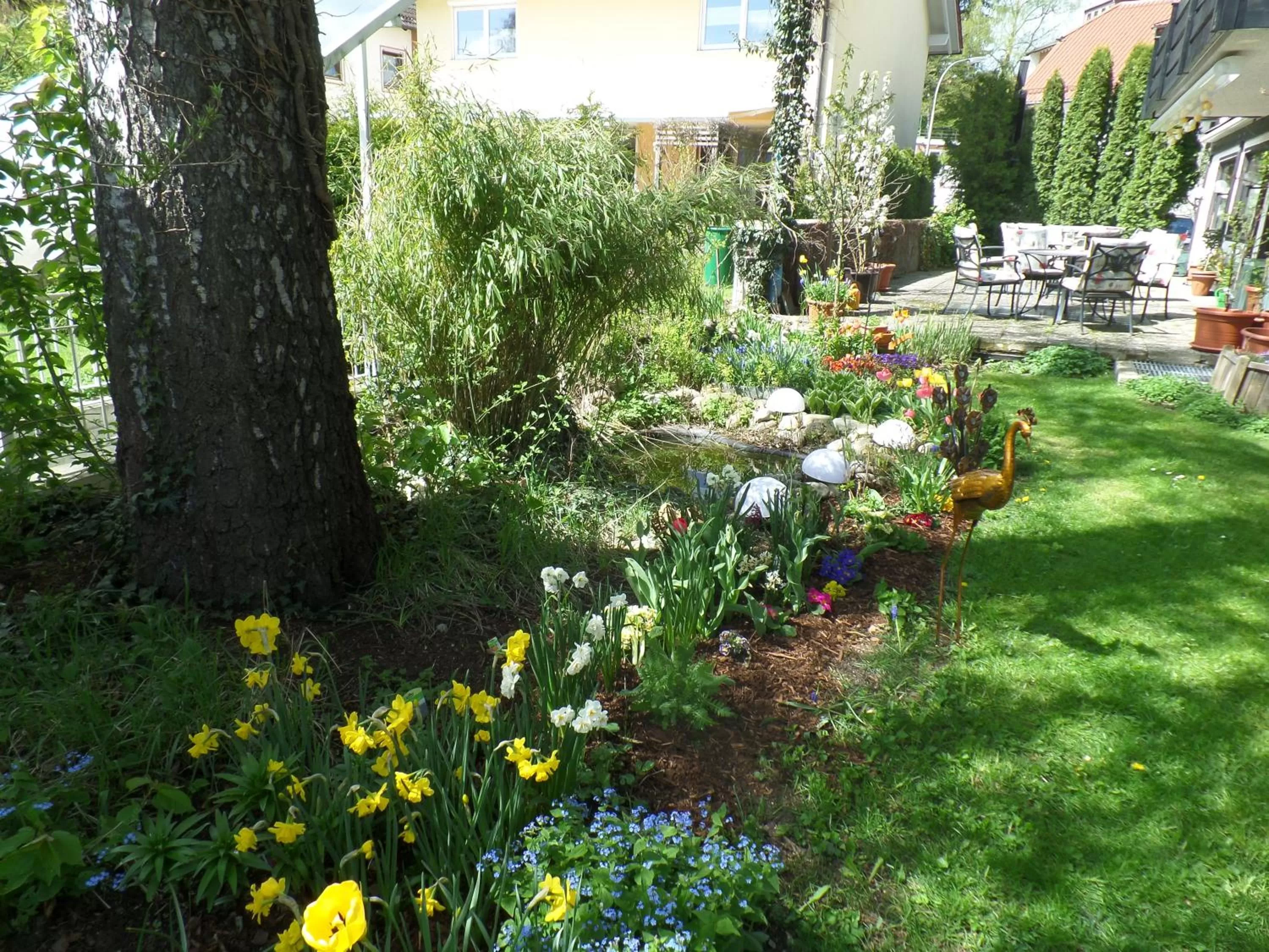 Garden in Hotel Brandl