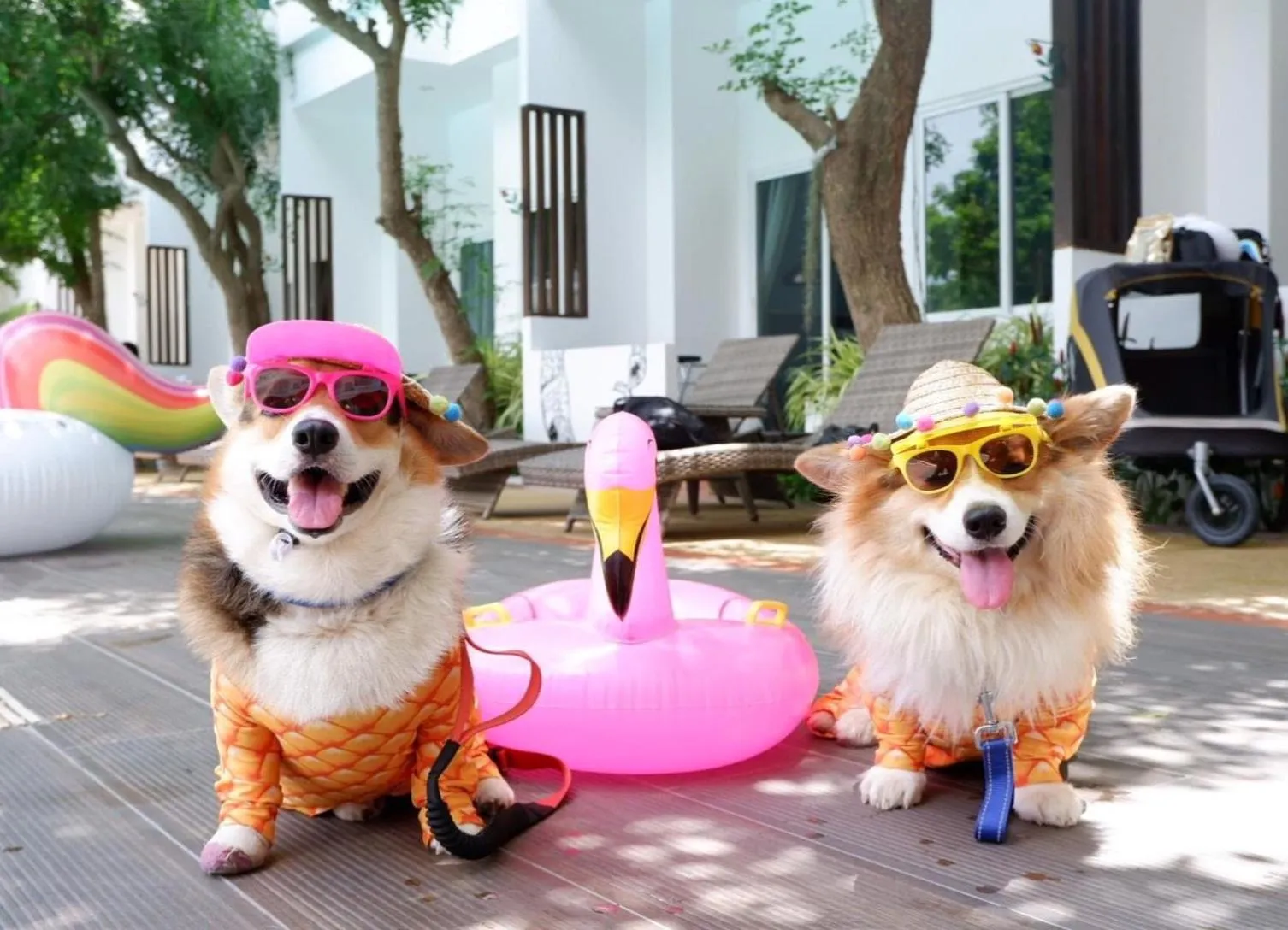 Activities in Hill Fresco Hotel