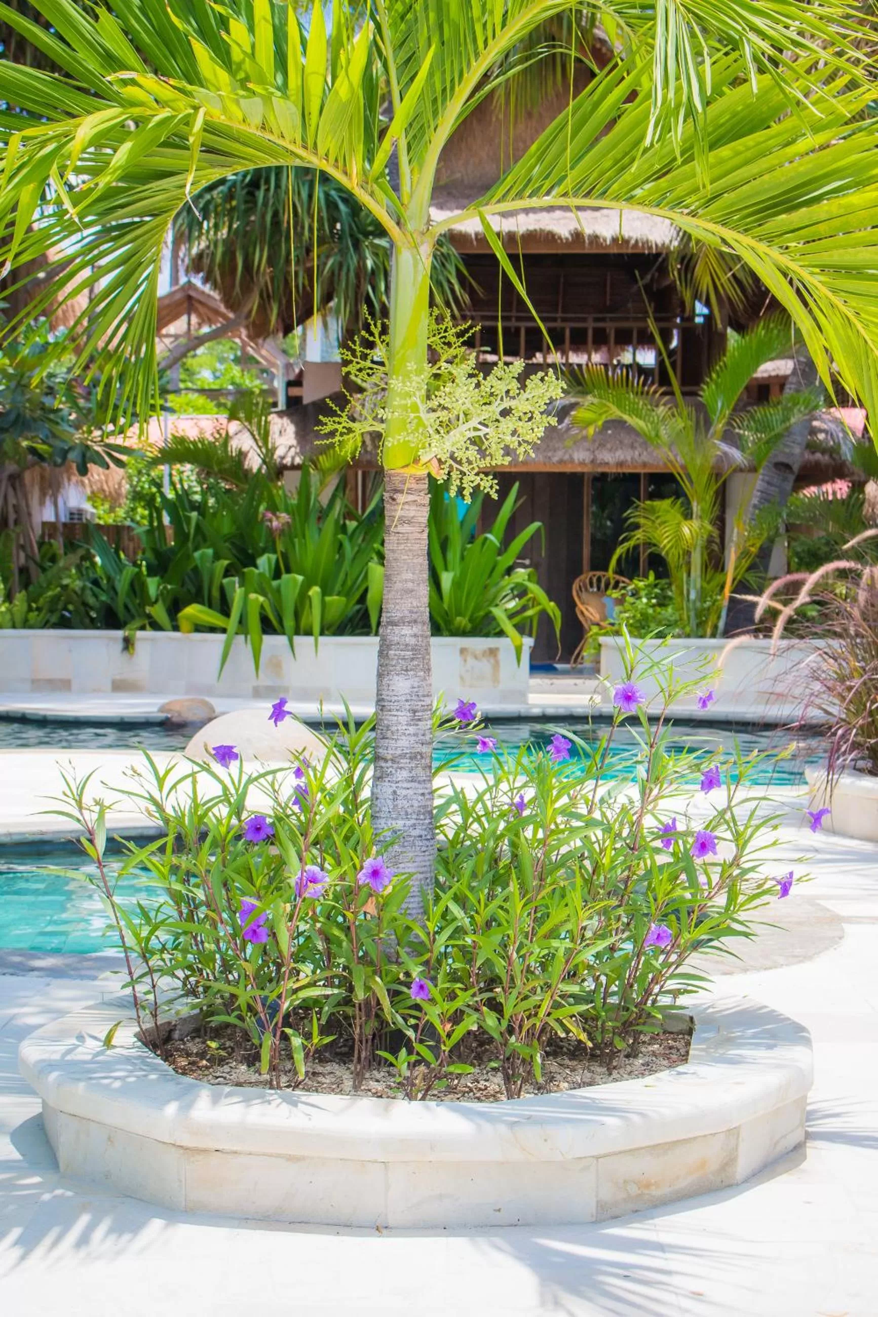 Property building in Sunrise Resort