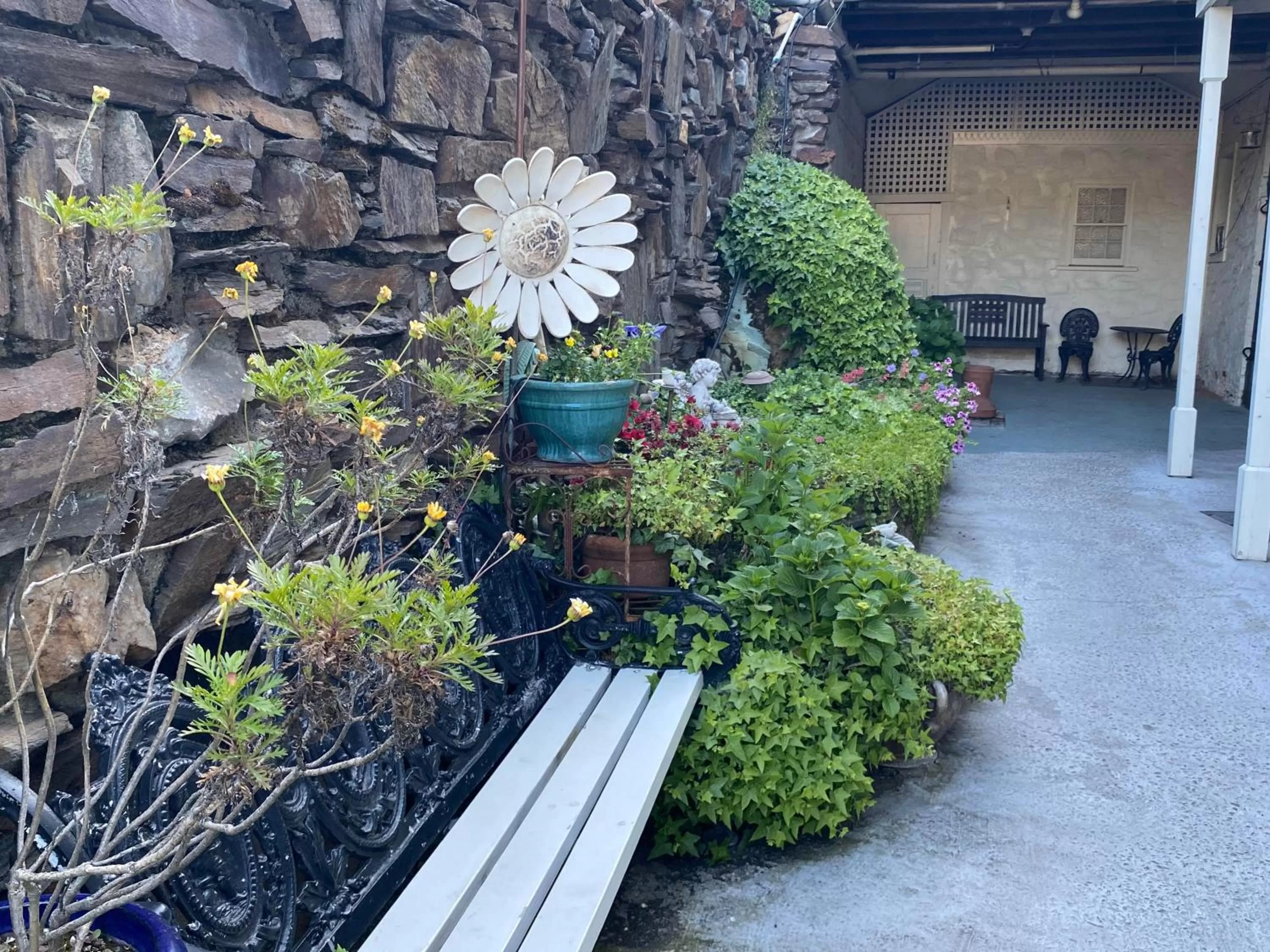 Garden in Gunn House Hotel