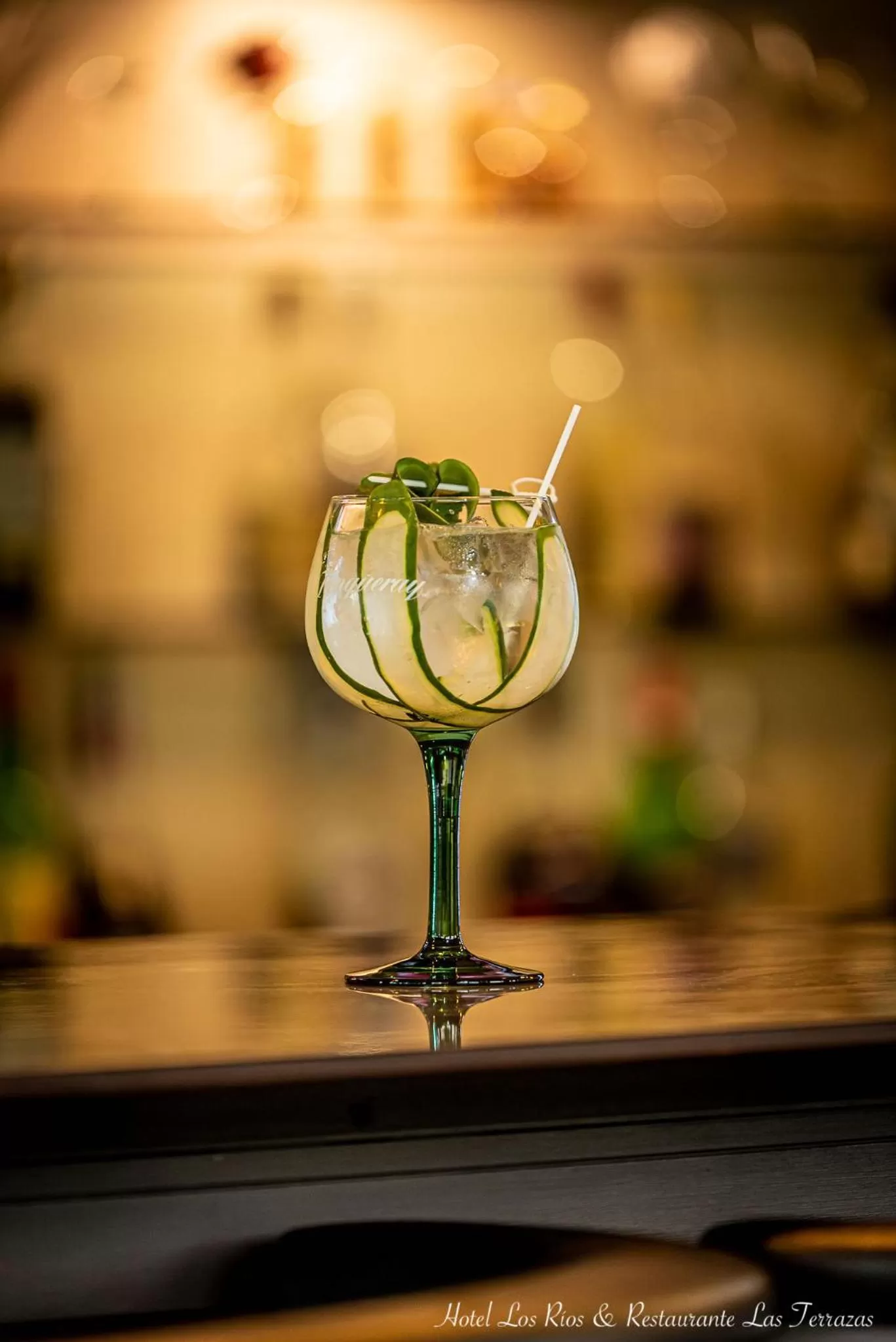 Lounge or bar in Hotel Los Rios