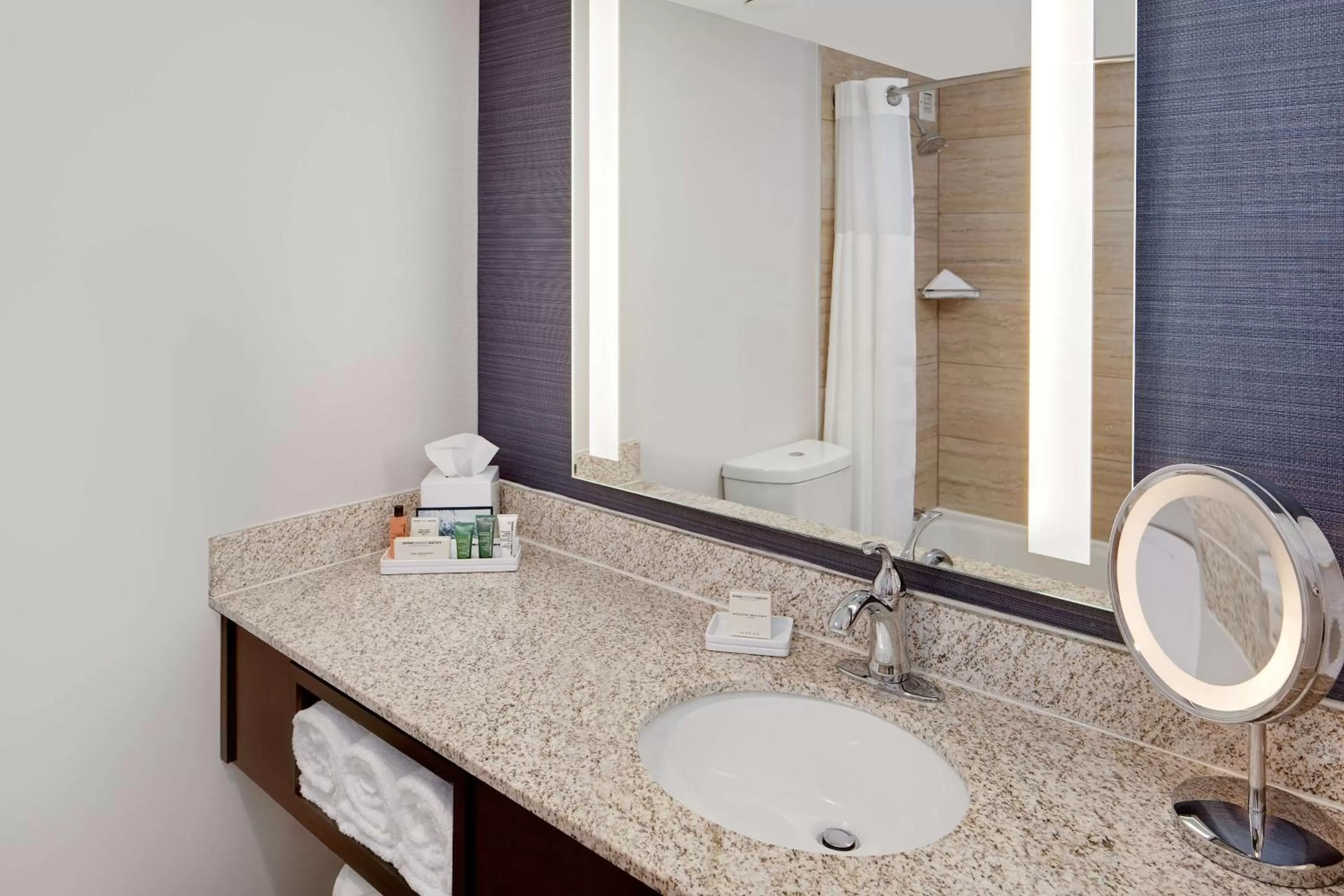 King Room - Mobility/Hearing Accessible with Bath Tub in Hilton Nashville Airport