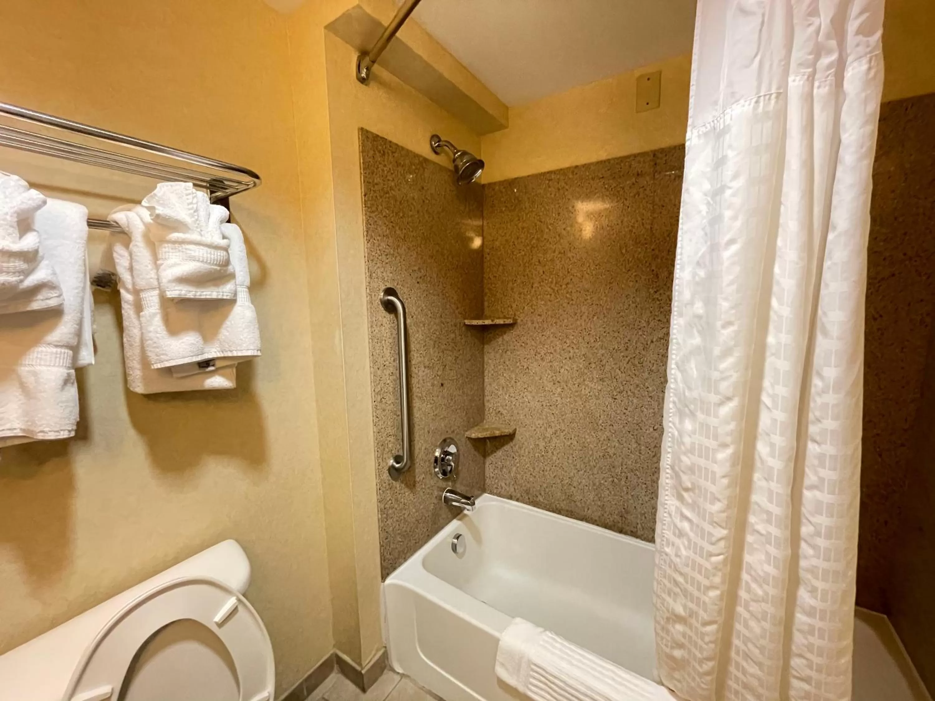 Bathroom in Comfort Suites Fredericksburg North