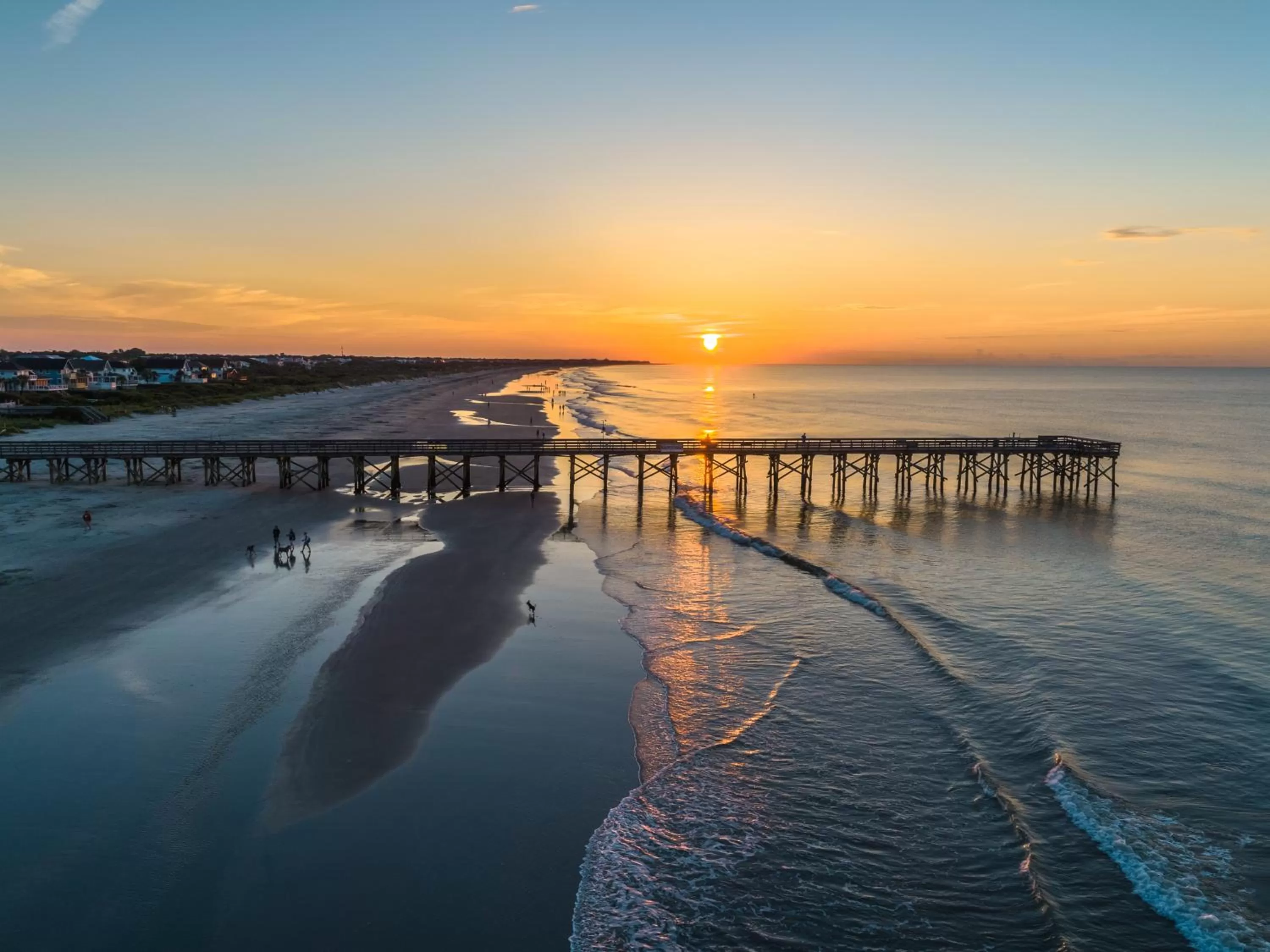 Natural landscape in The Palms Oceanfront Hotel