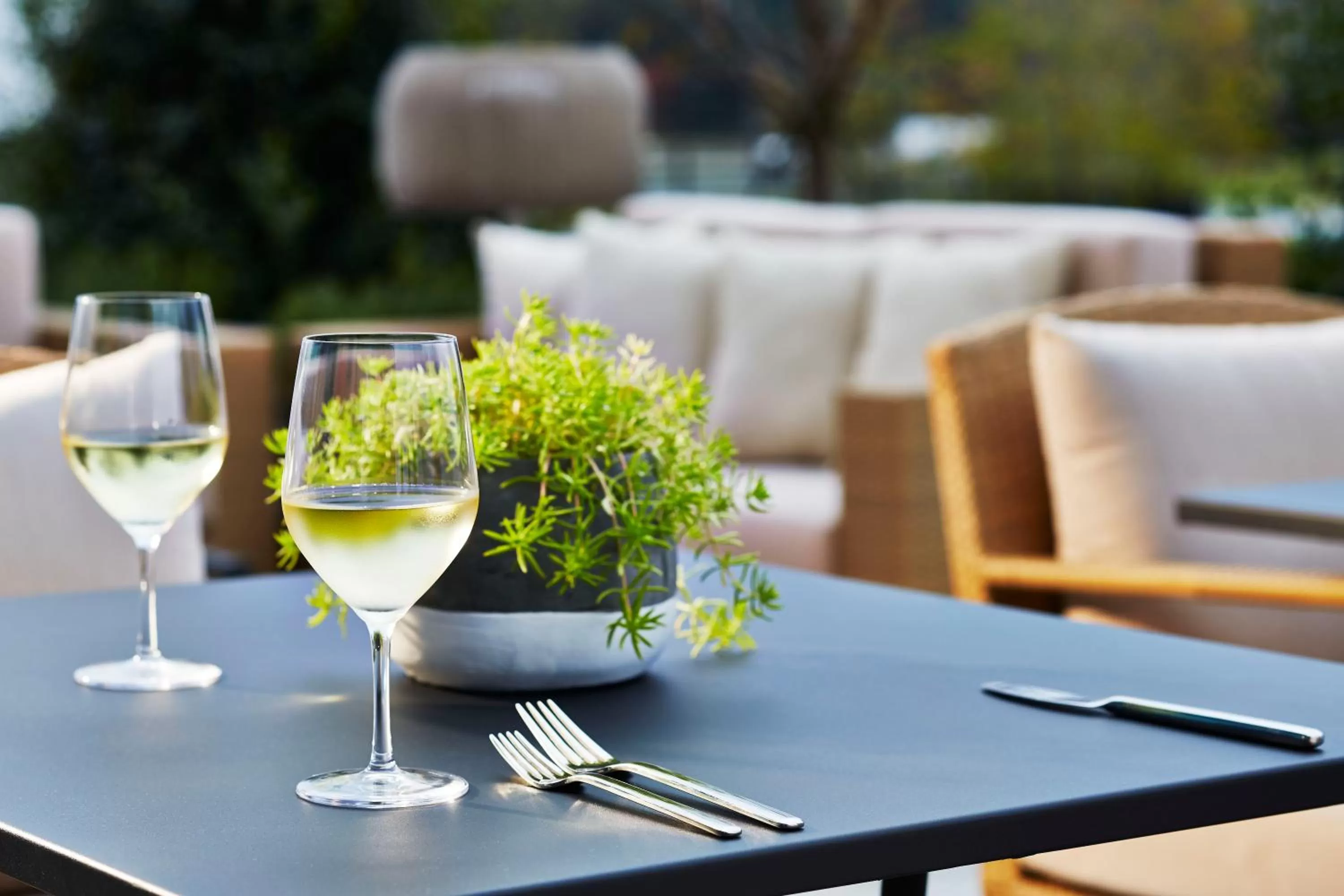 Restaurant/places to eat in Kimpton Overland Hotel - Atlanta Airport by IHG