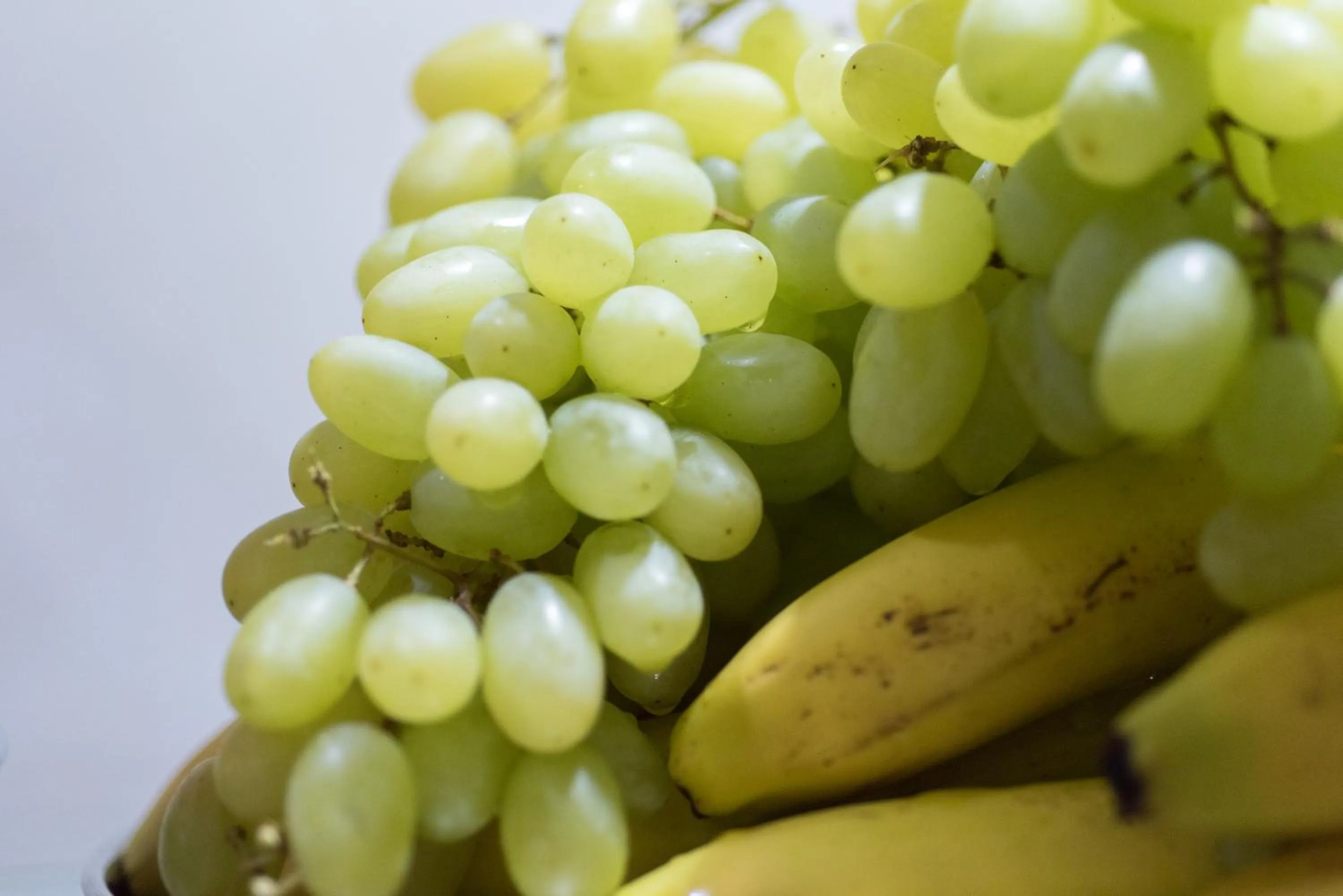 Food close-up in Epidavros Hotel