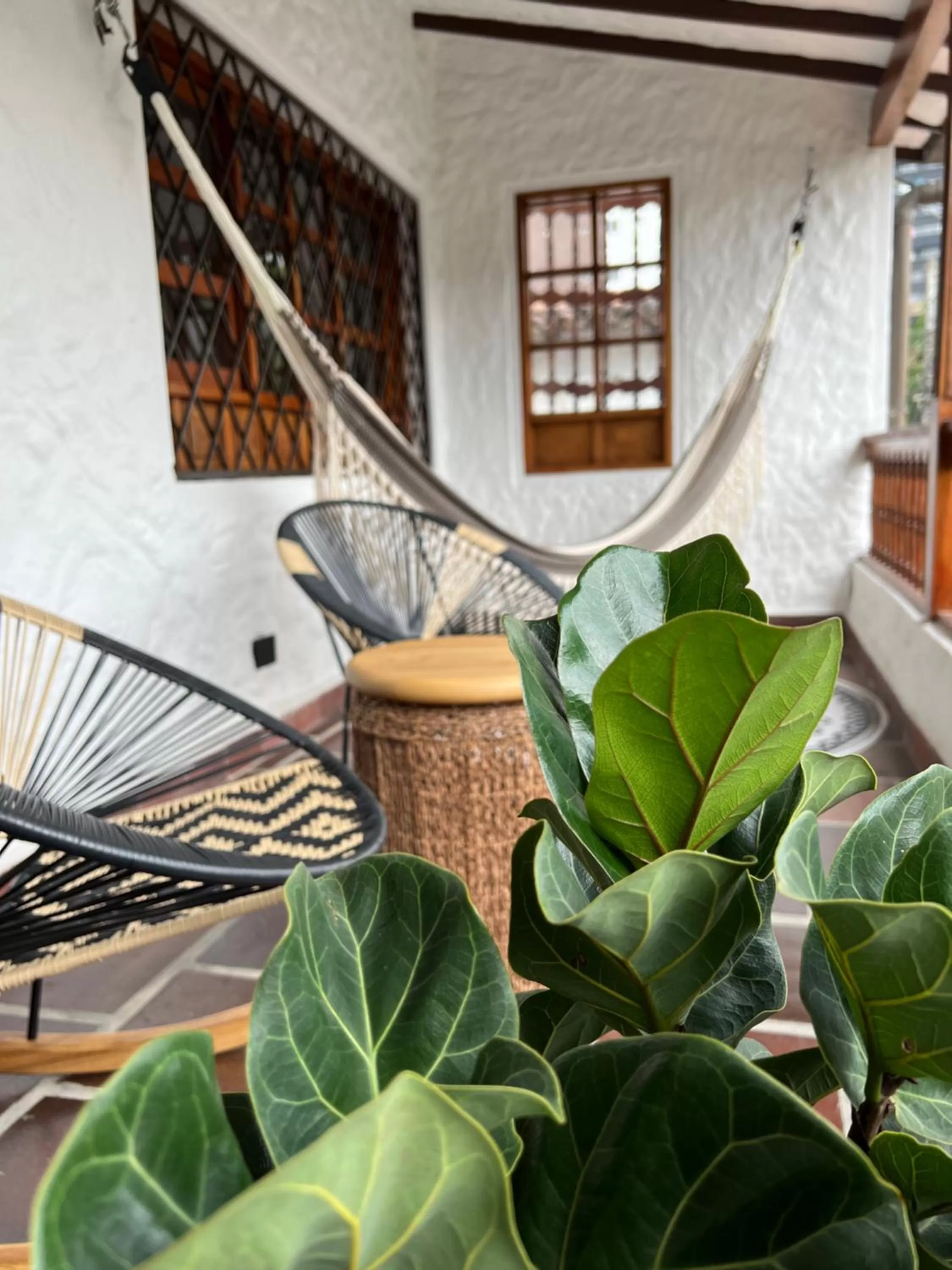 Garden in Casa Medallo