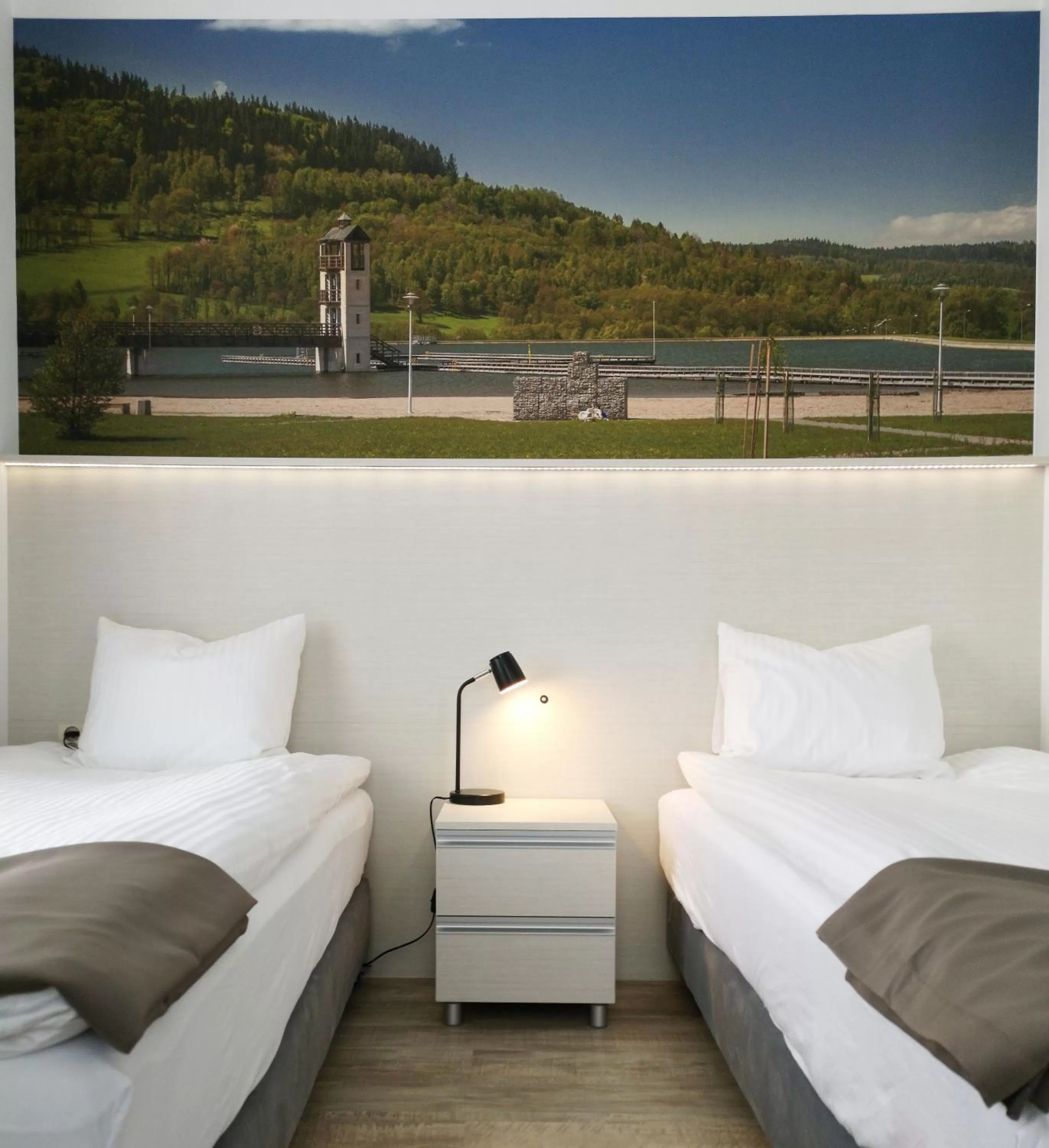 Standard Twin Room in Hotel Stronie