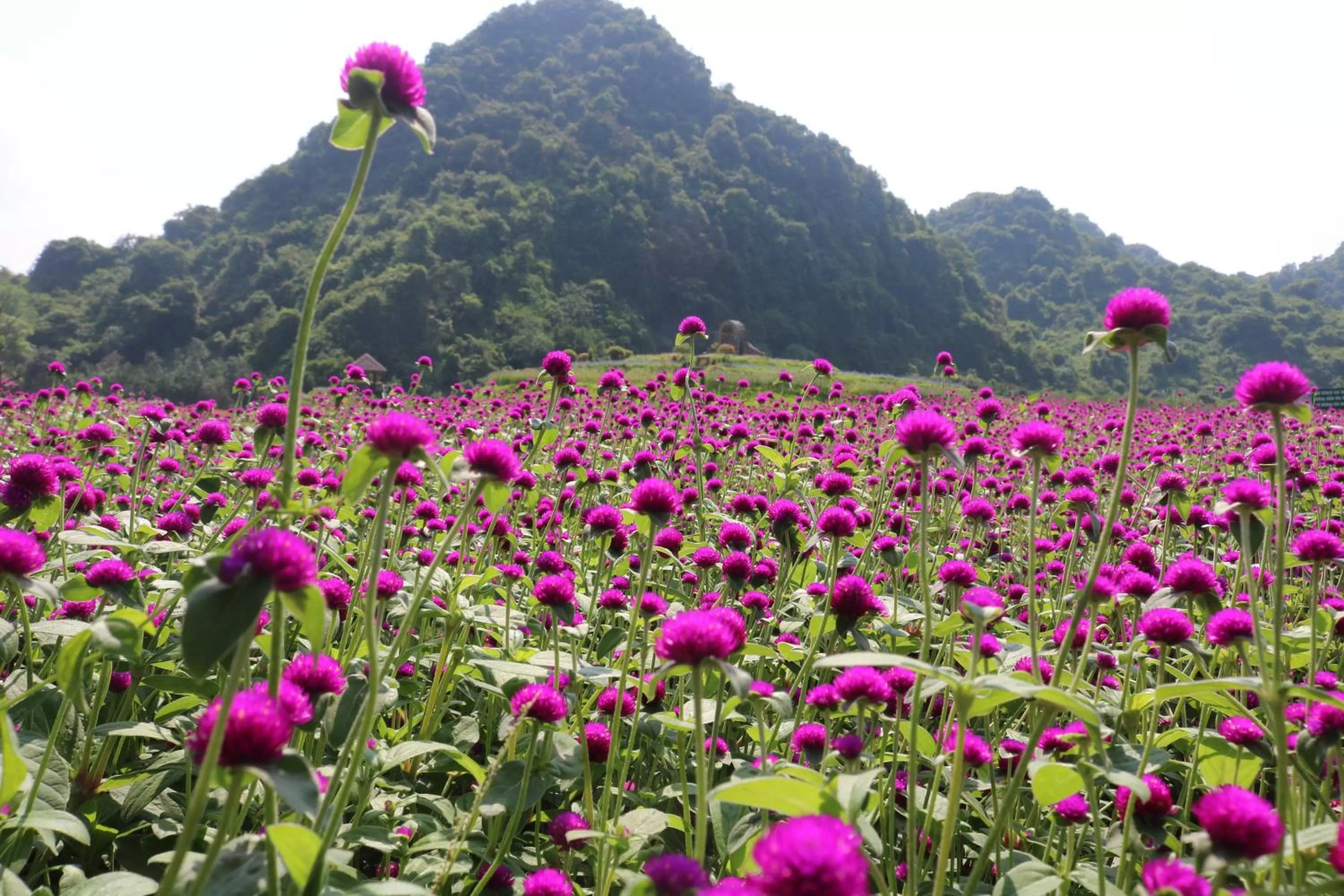 Natural landscape in Thung Nham Resort