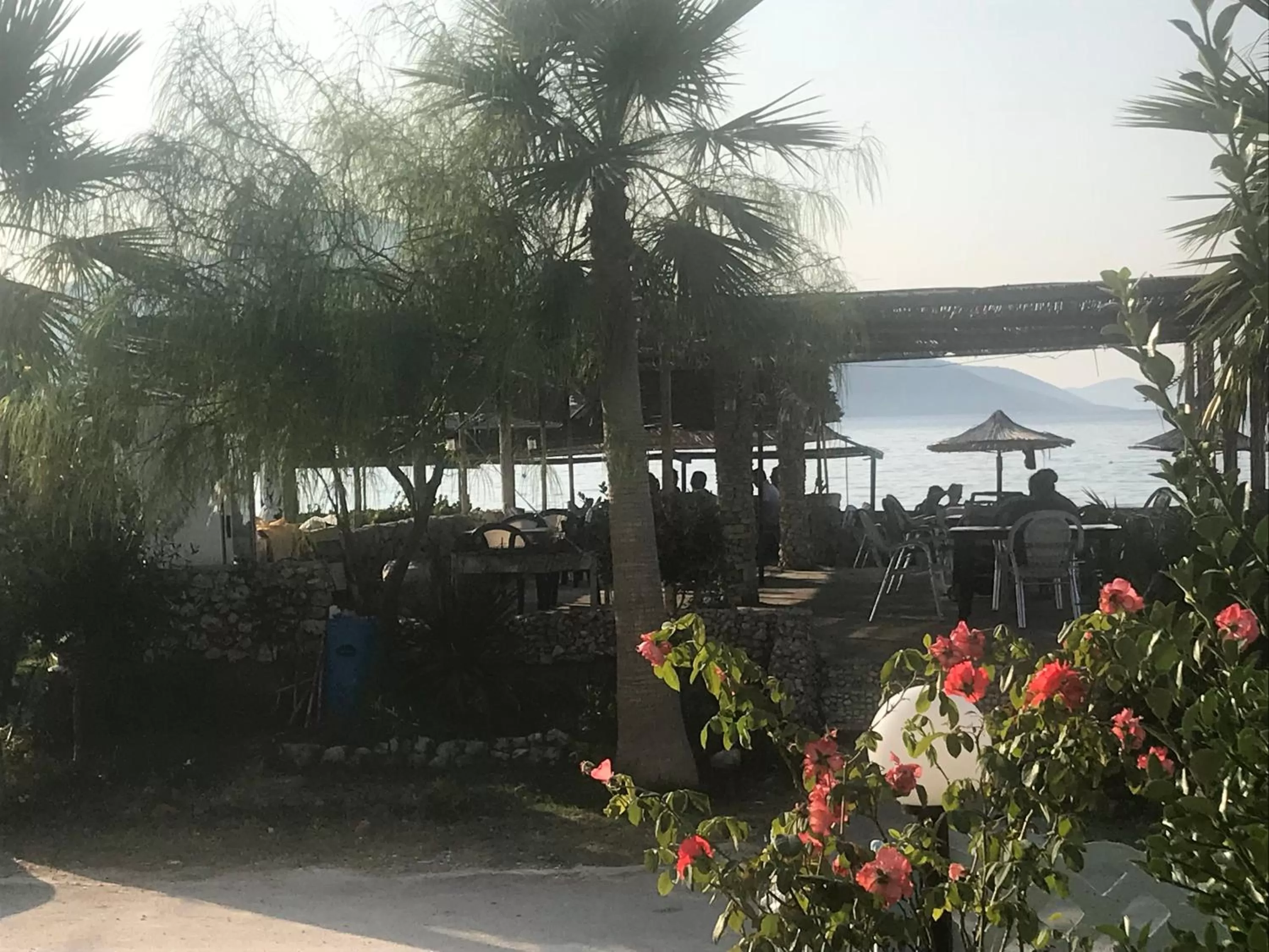 Restaurant/places to eat in Hotel Alba-Gert