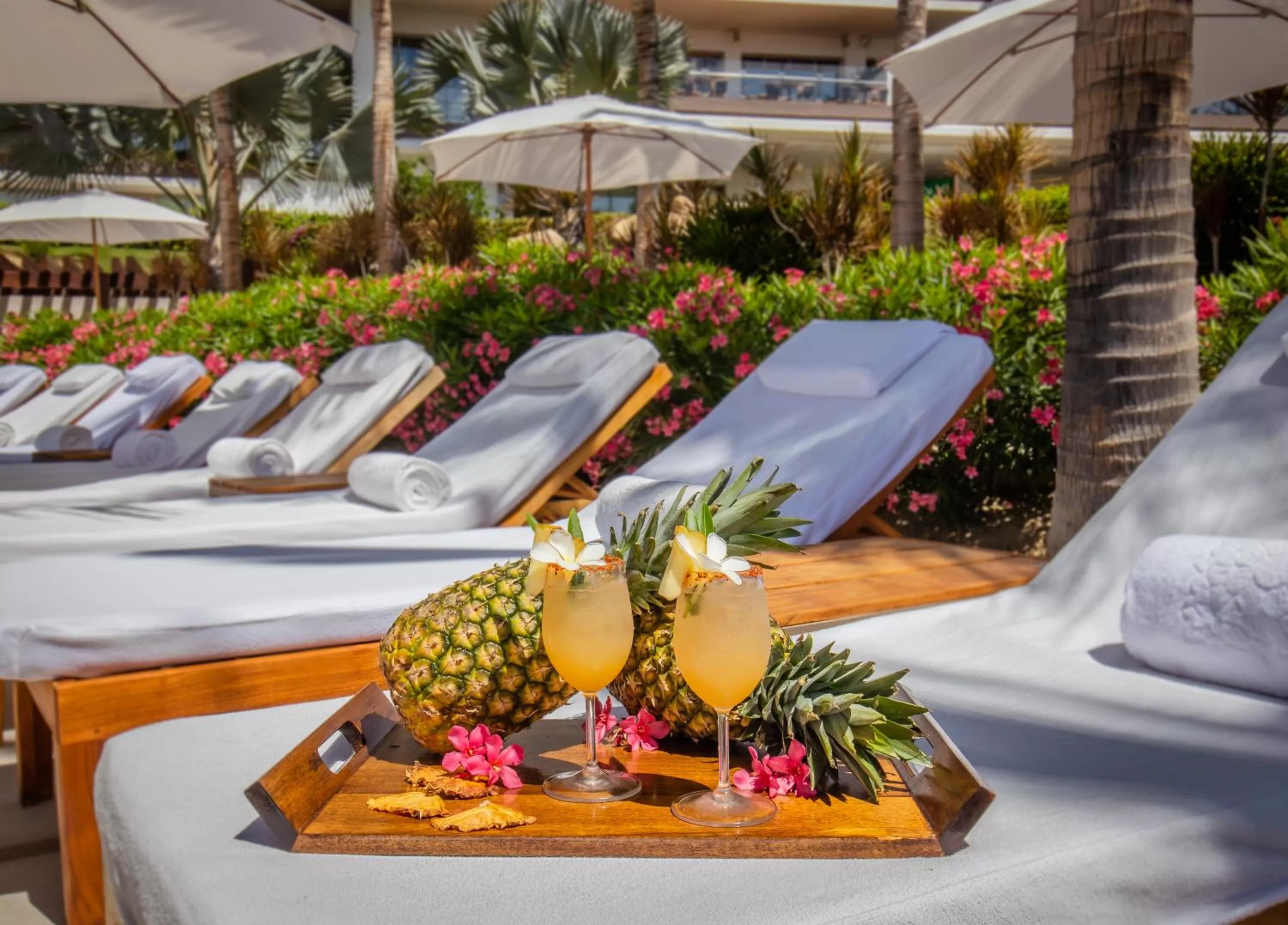 Restaurant/places to eat in Grand Velas Los Cabos Luxury All Inclusive