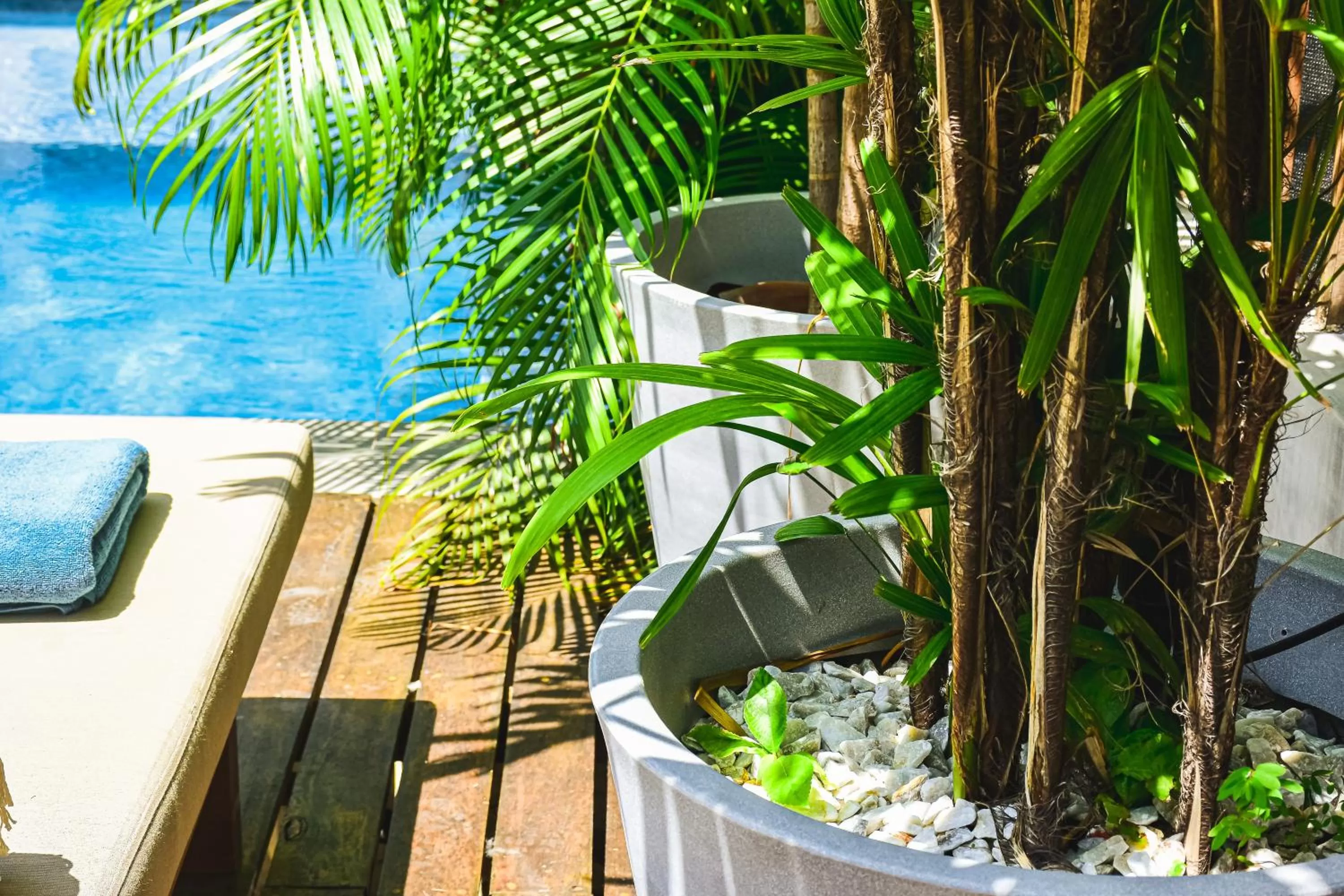 Property building, Pool View in LOTE4 - LGBTQ Studios