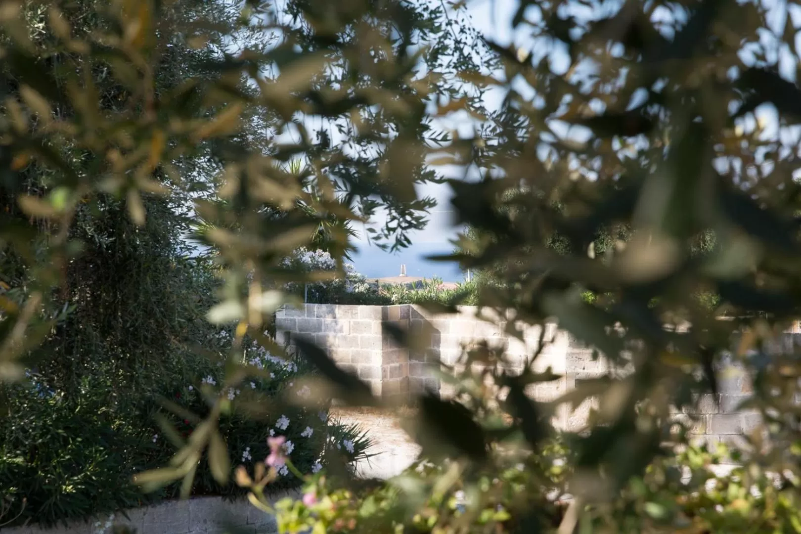 Garden in Masseria dei Monaci