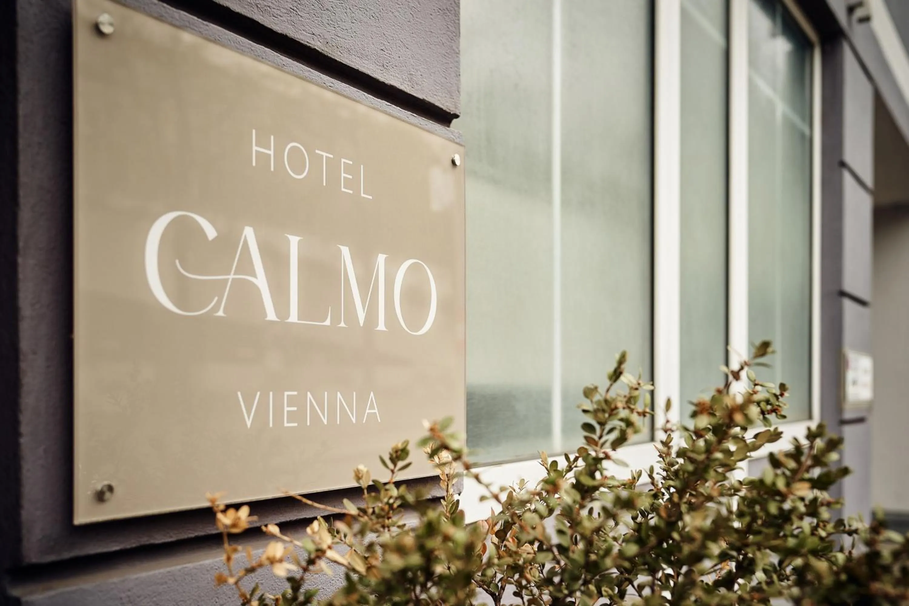 Logo/Certificate/Sign in Hotel Calmo