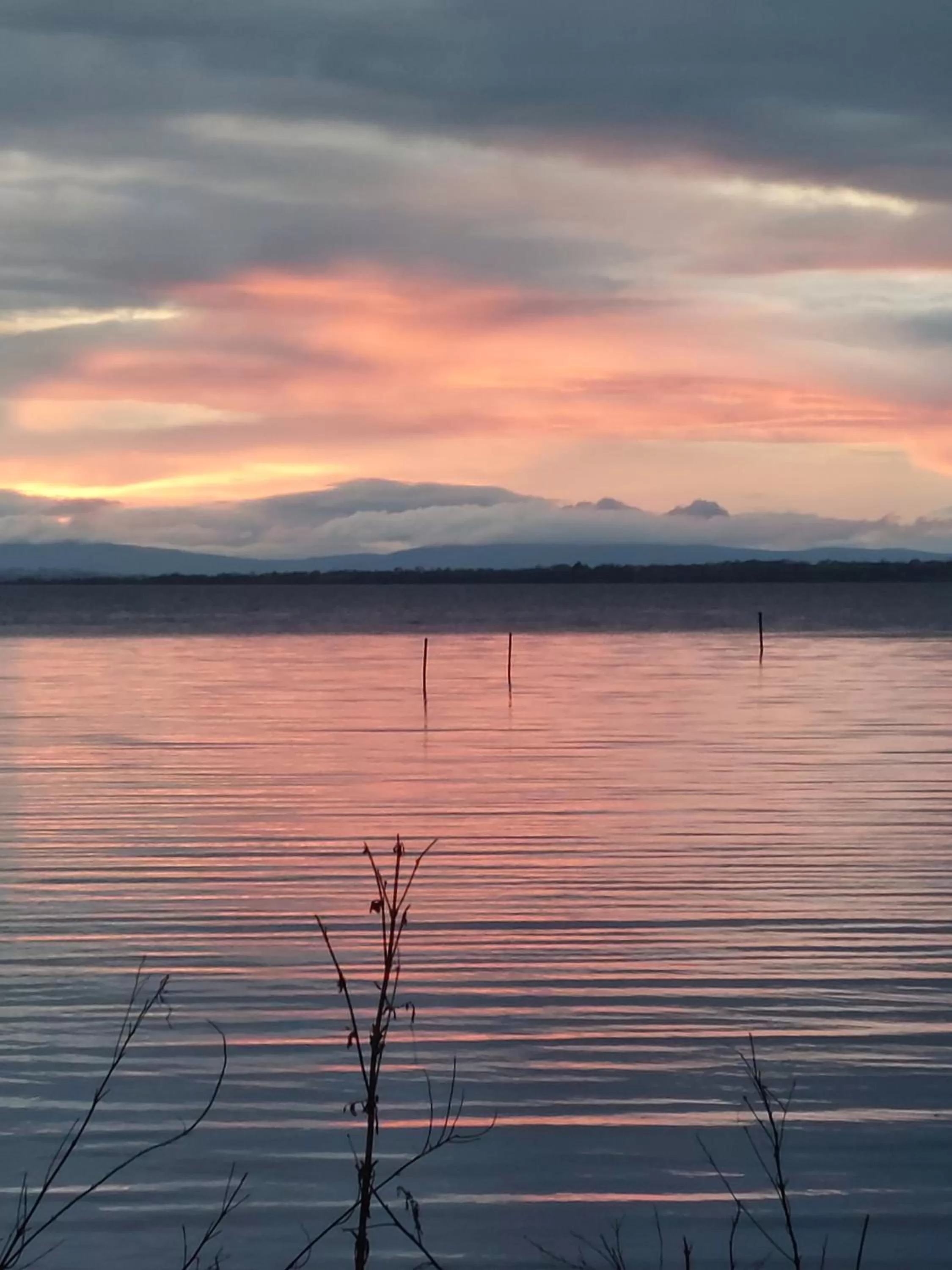 Lake view in Bay Cottage Bed & Breakfast