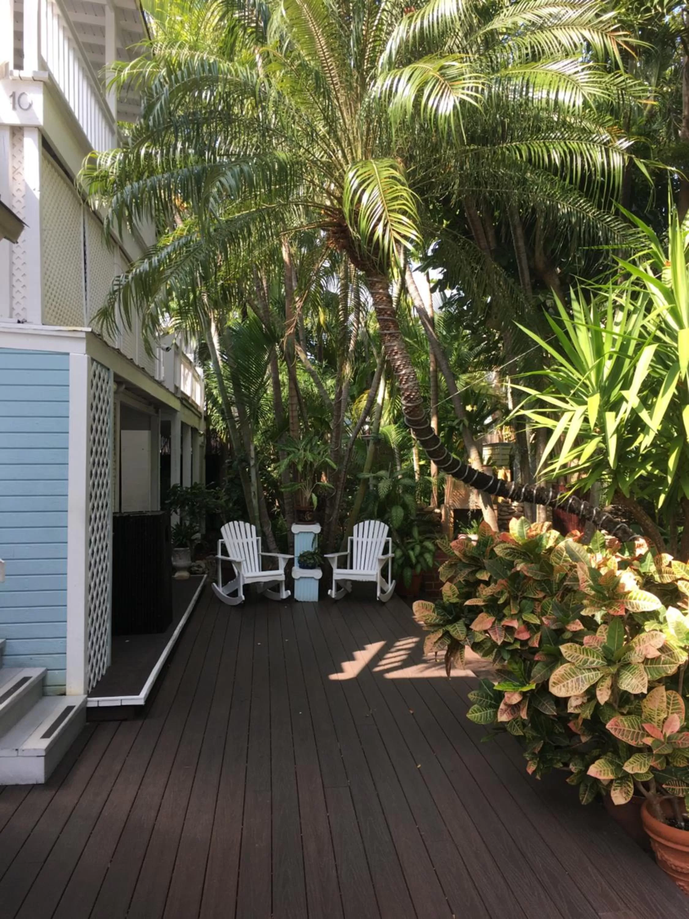 Garden in Douglas House