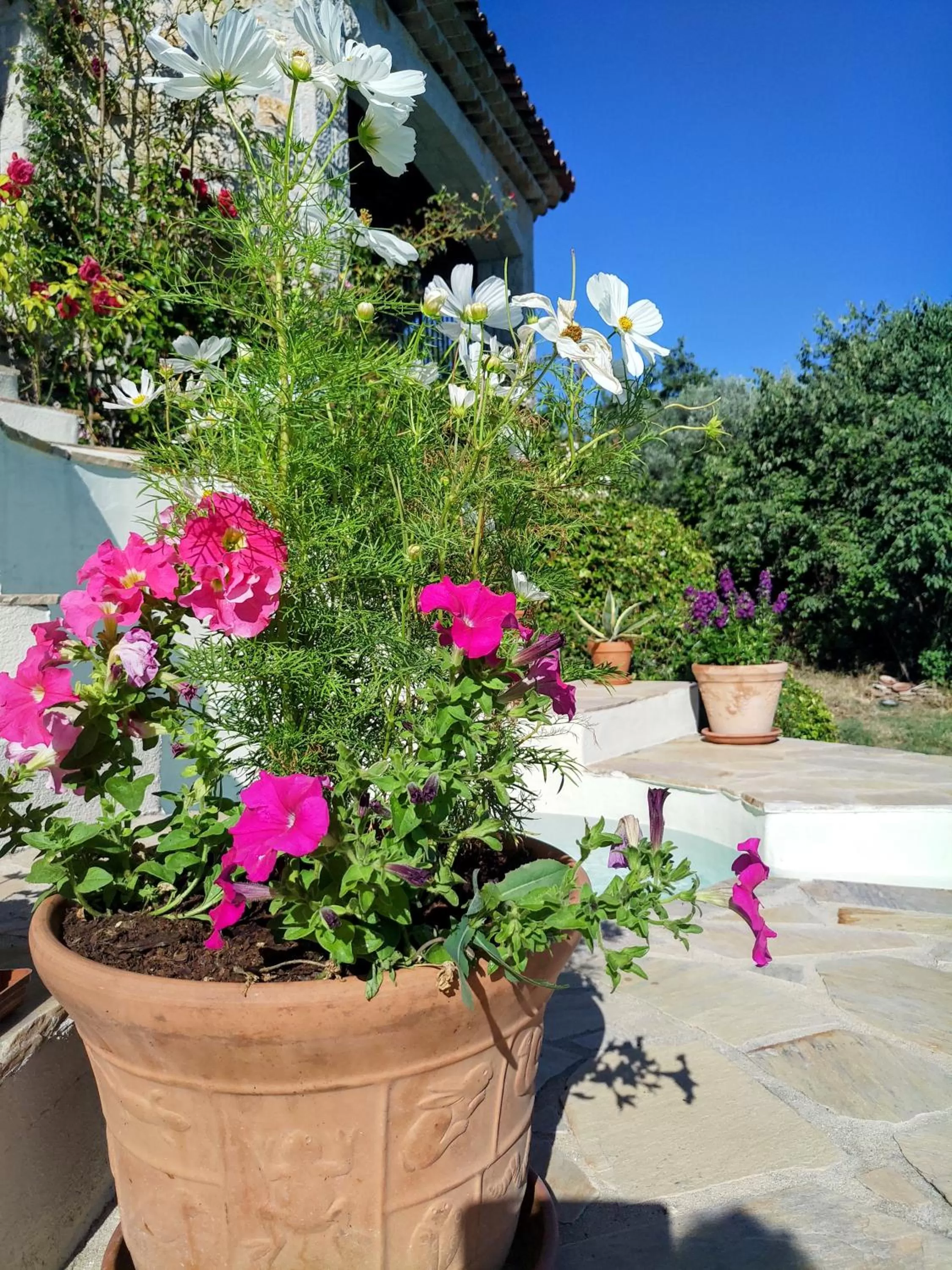 Spring in Chambre d'hôtes Cottes