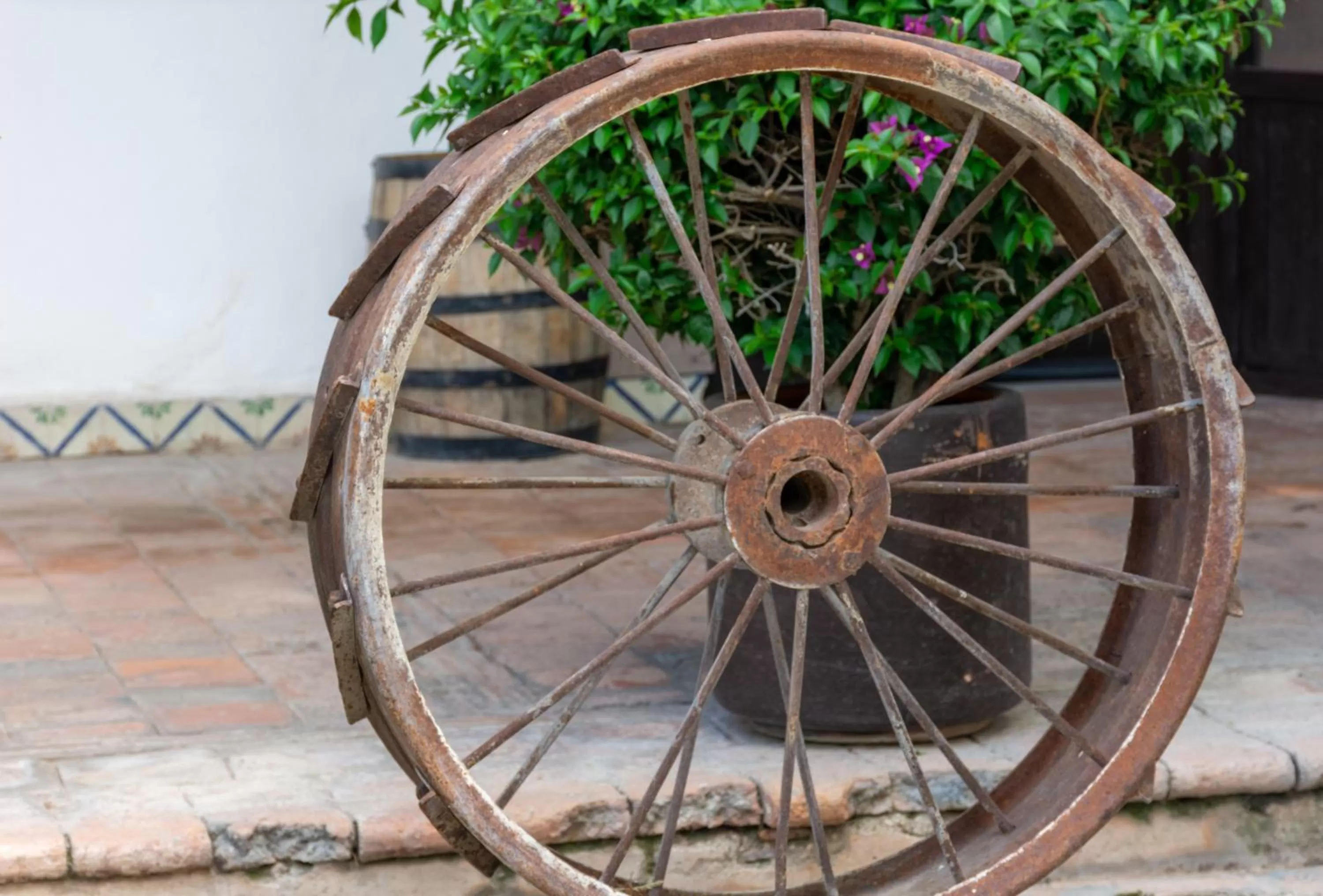 Garden in Hotel Hacienda San Cristóbal