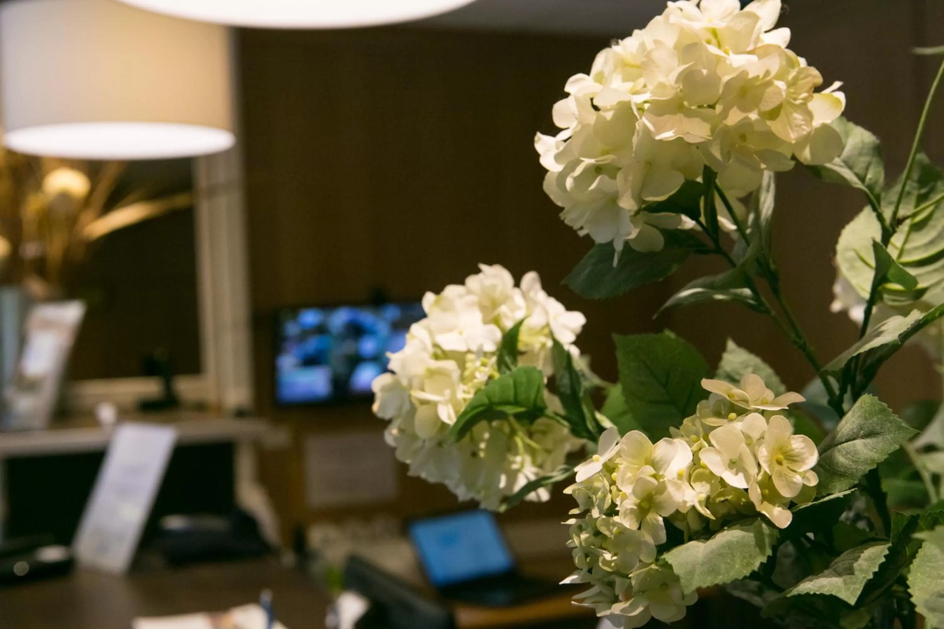 Decorative detail in Value Stay Menen