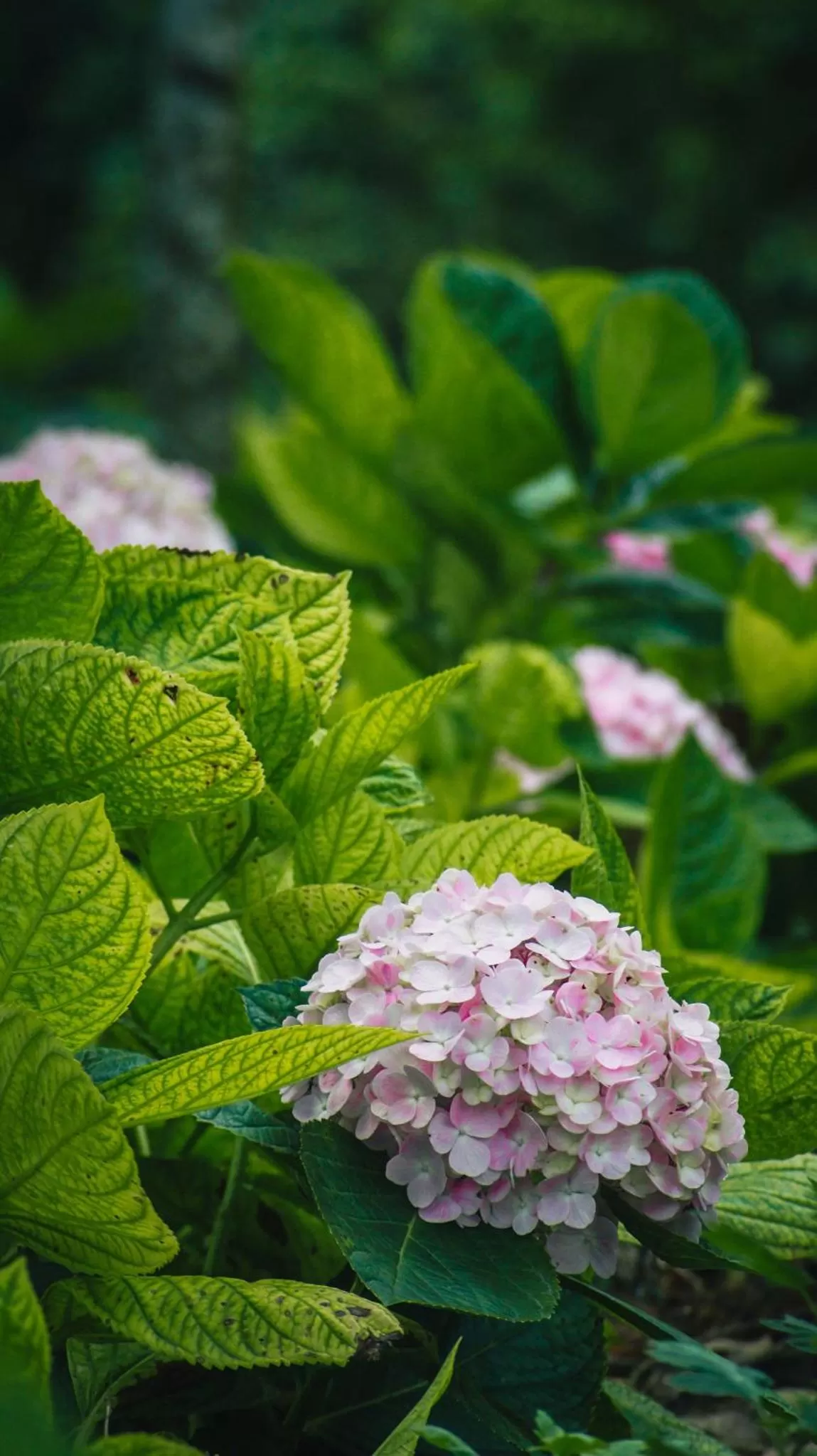 Natural landscape in Thung Nham Resort