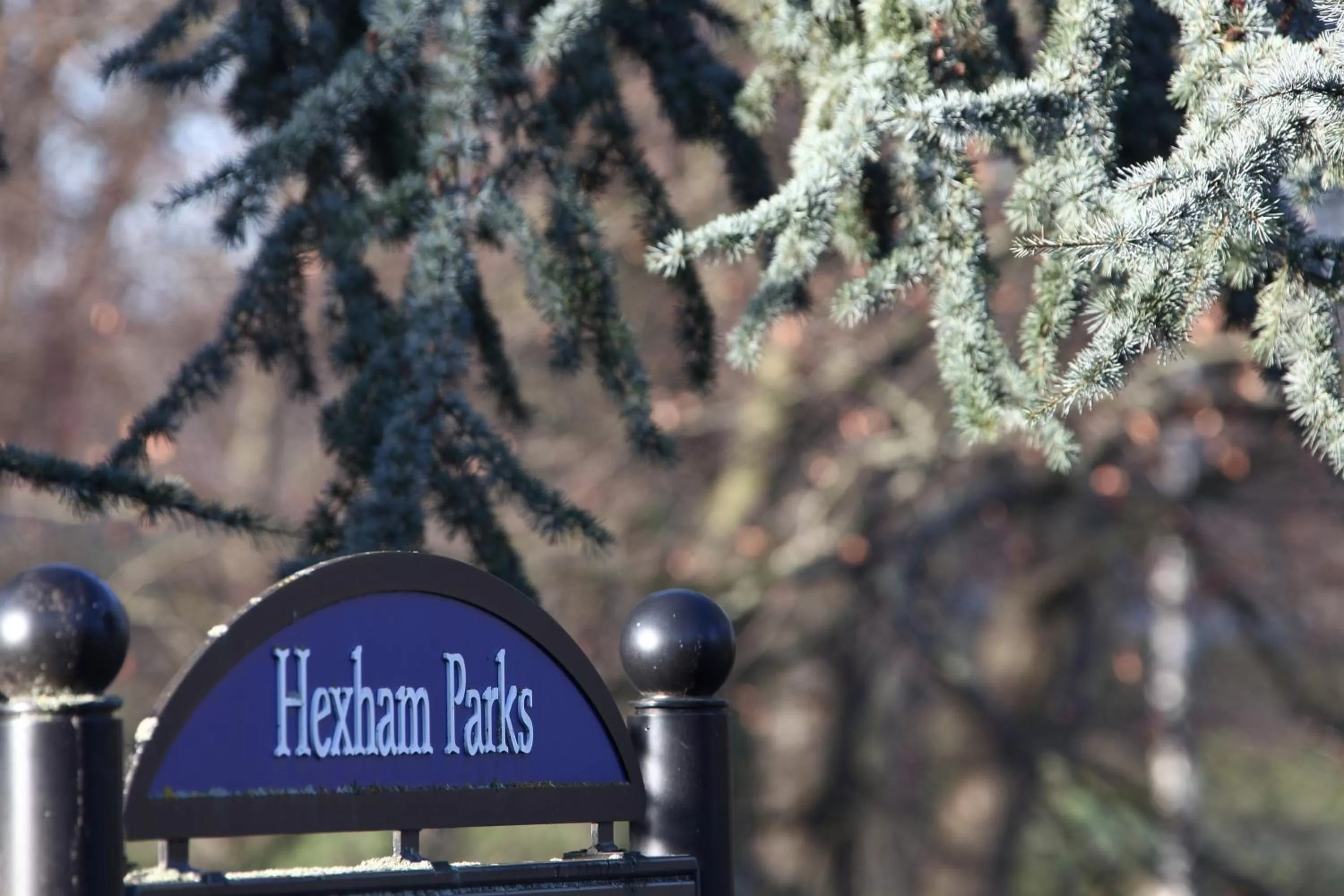 Nearby landmark in The Beaumont Hexham