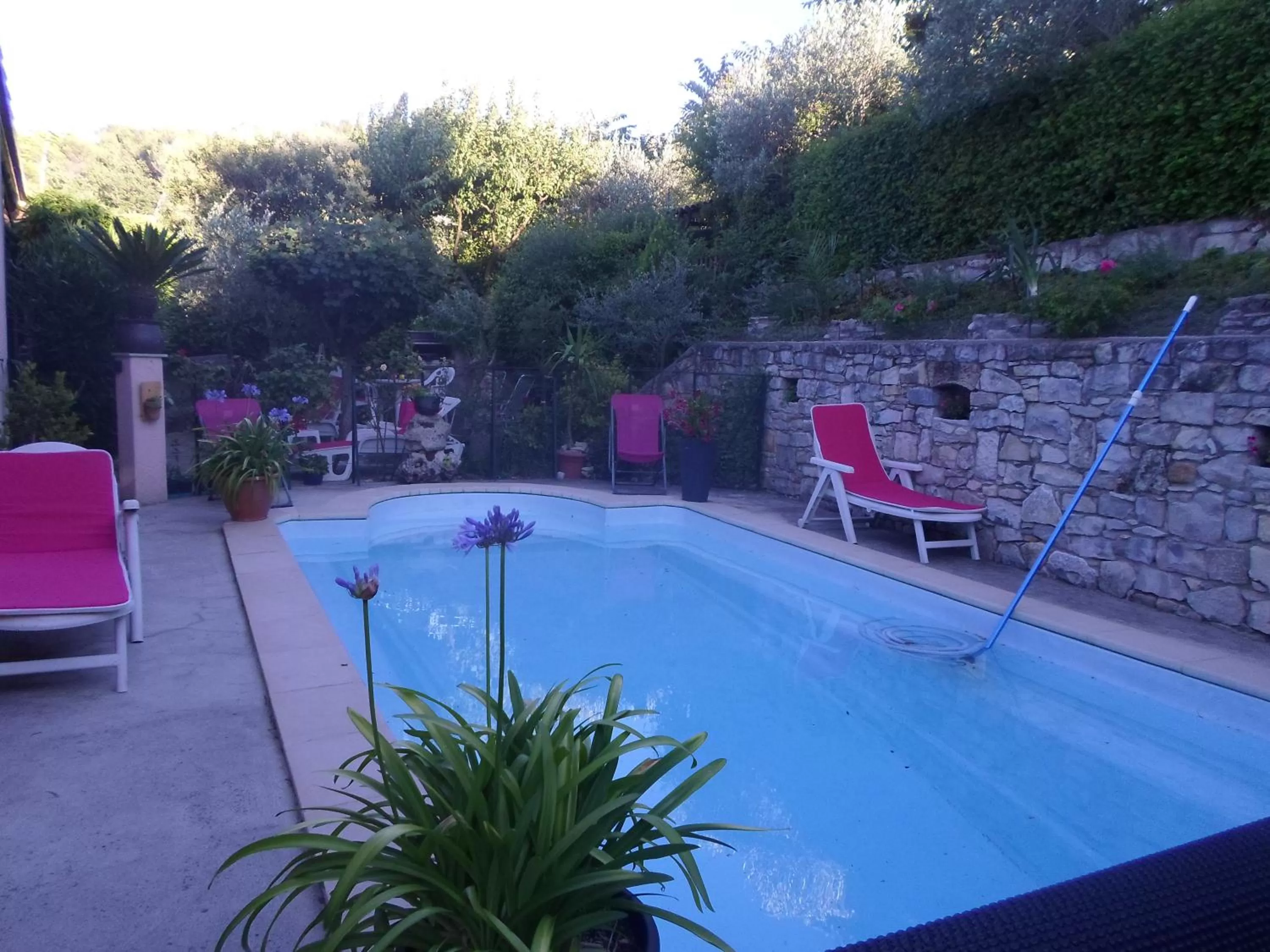 Swimming Pool in La Sapiniére -chambres climatisées