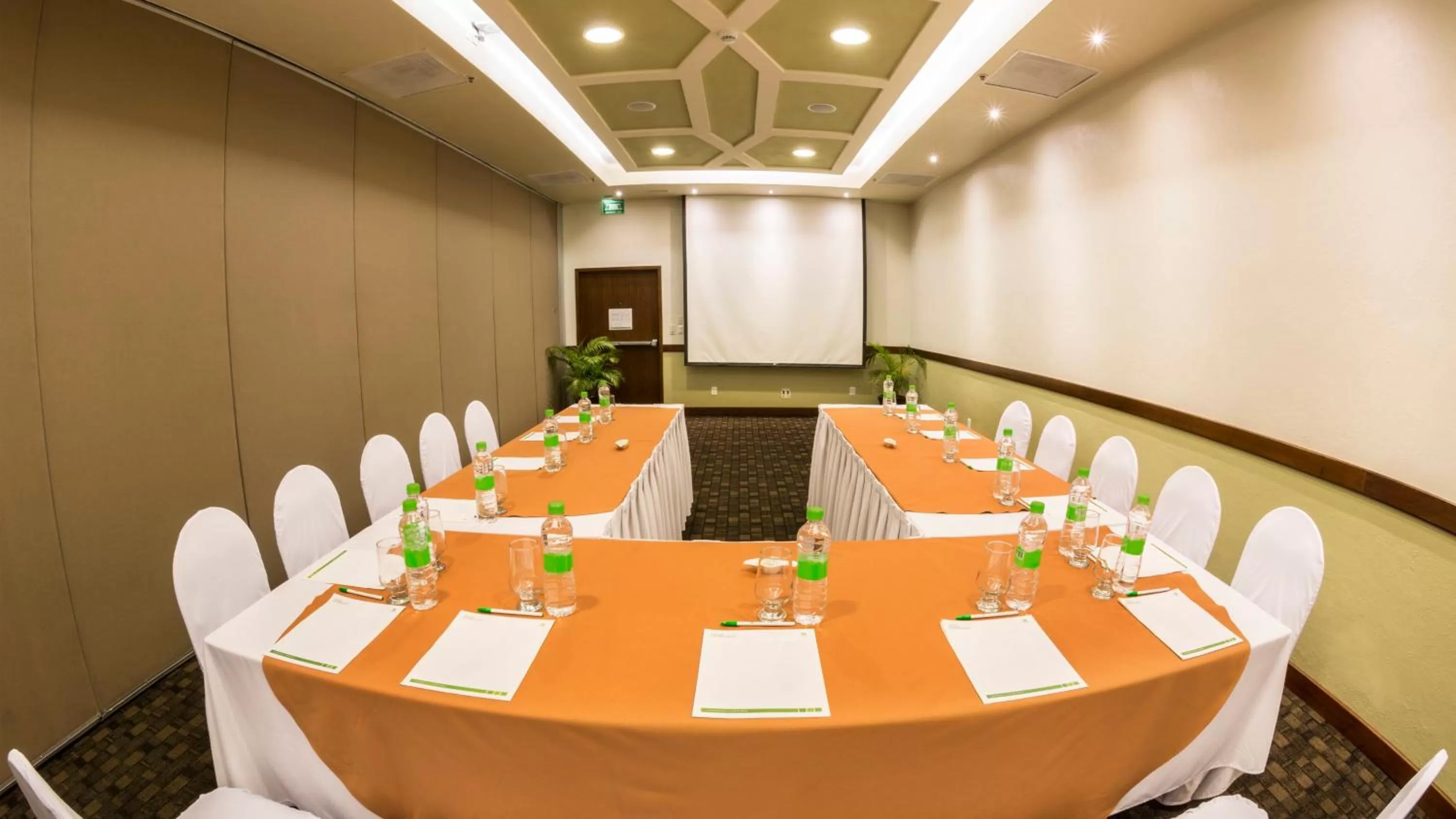 Meeting/conference room in Holiday Inn Orizaba by IHG