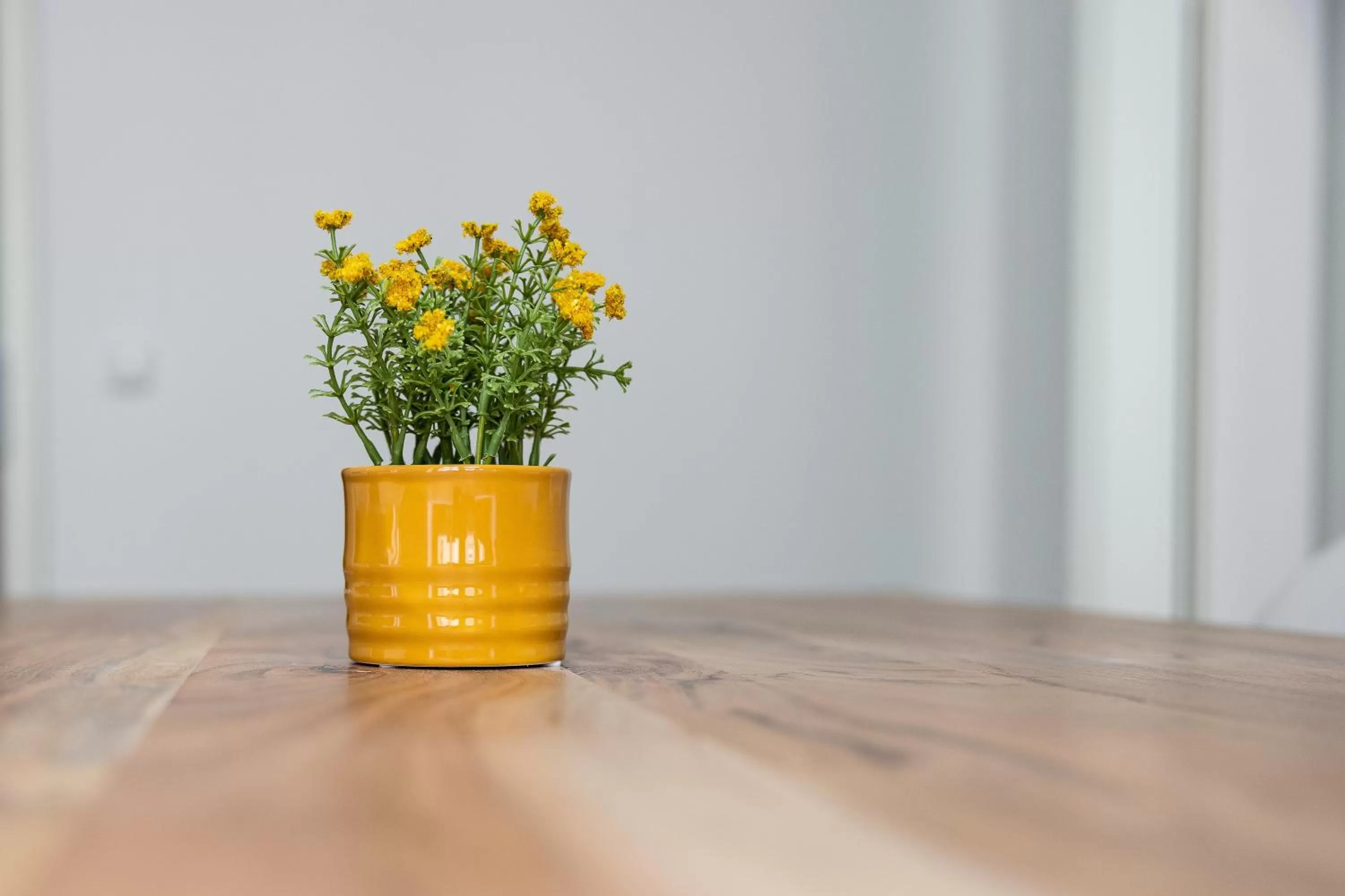 Decorative detail in Apartments am Neuen Theater - Altstadt - Zentral - Küche - Wifi - Powered by Ko-Living