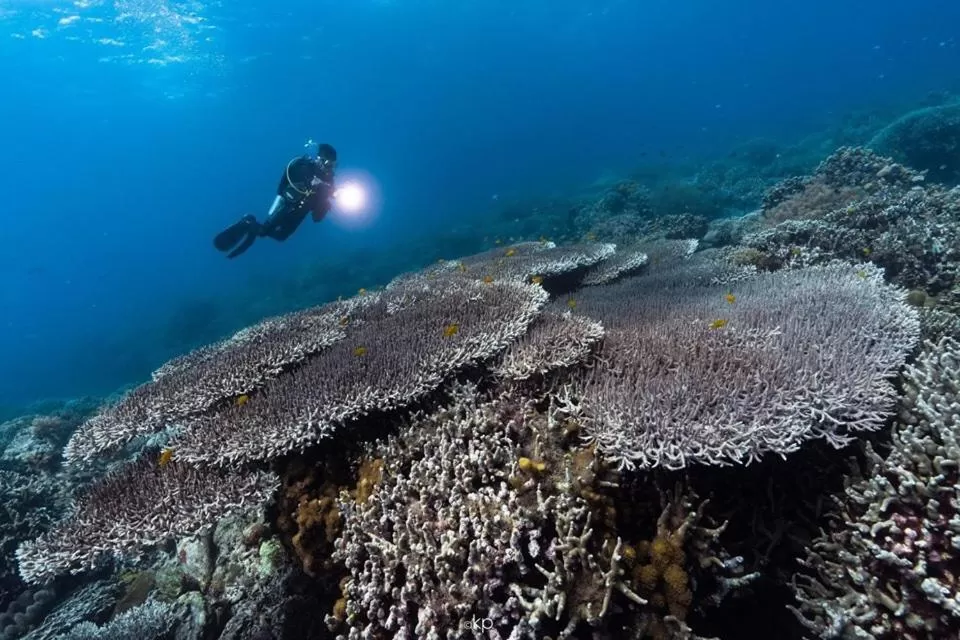 AivyMaes Divers Resort