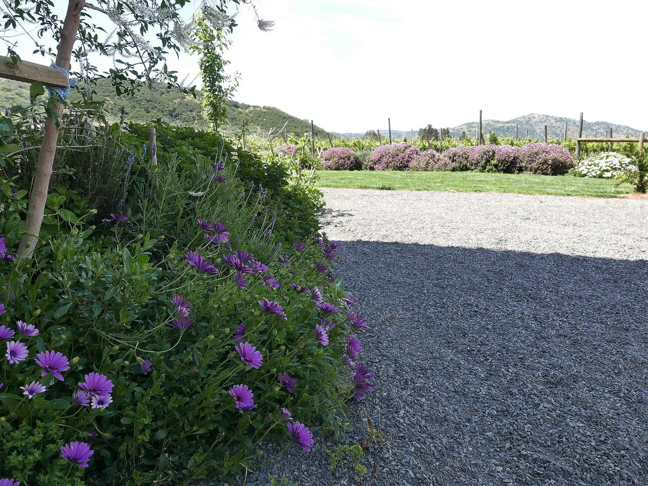 Nearby landmark in Callihue Lodge