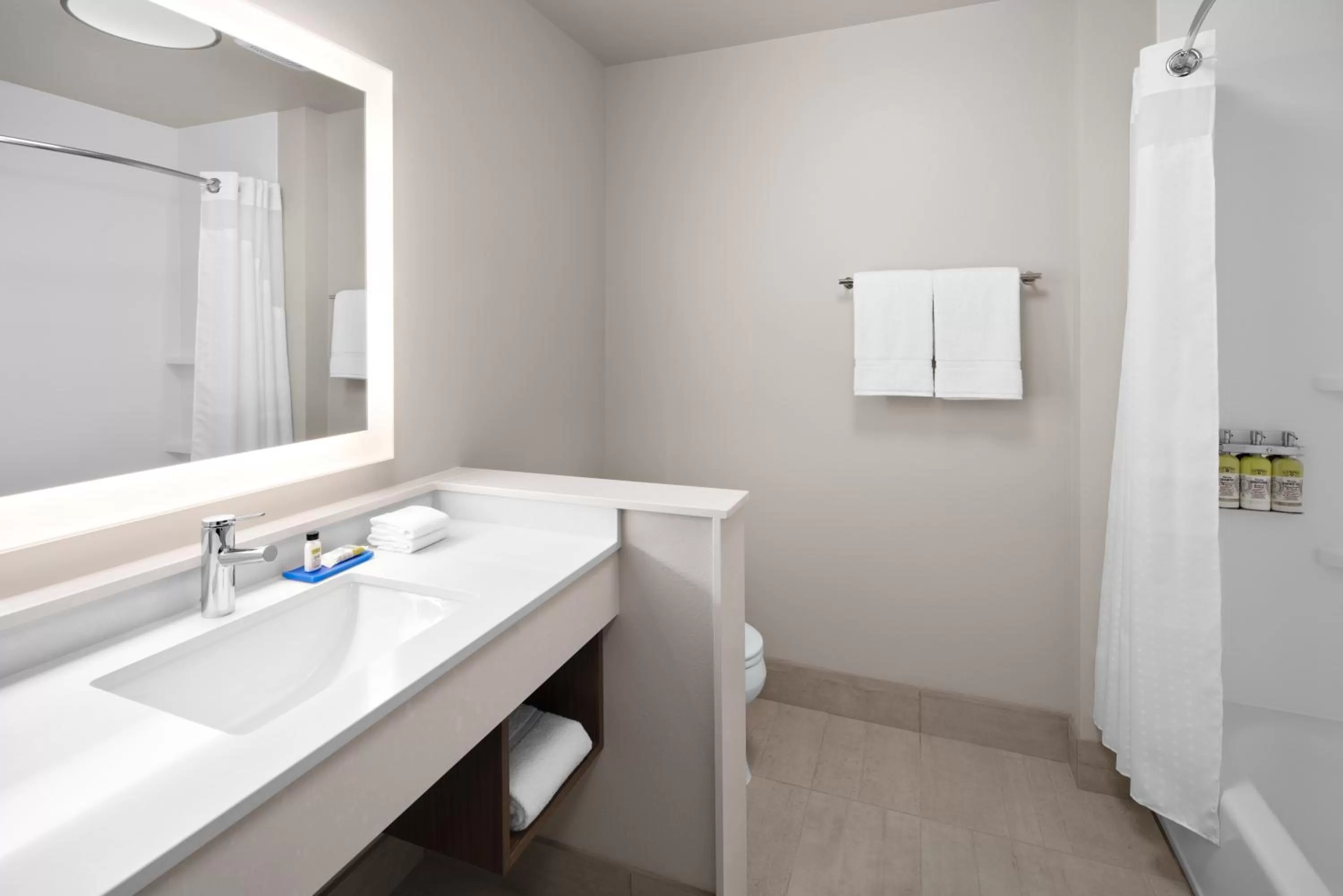 Bathroom in Holiday Inn Express & Suites - Elkhorn - Lake Geneva Area by IHG