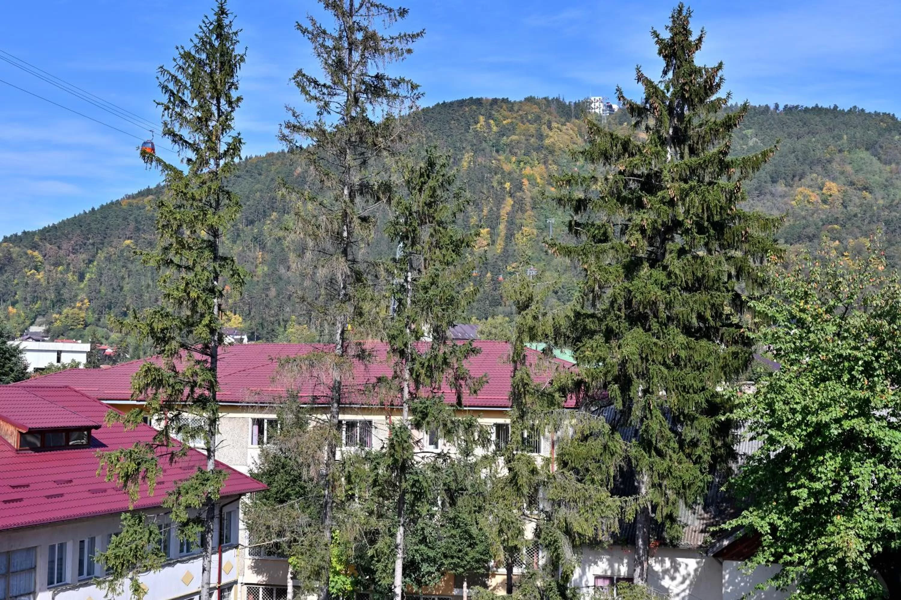 Day in Durau Residence